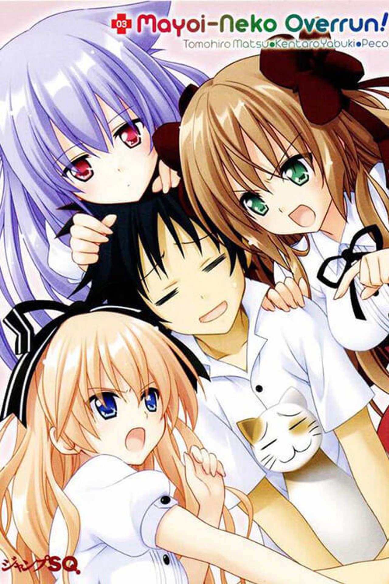 Mayoi Neko Overrun! (2010) - TV