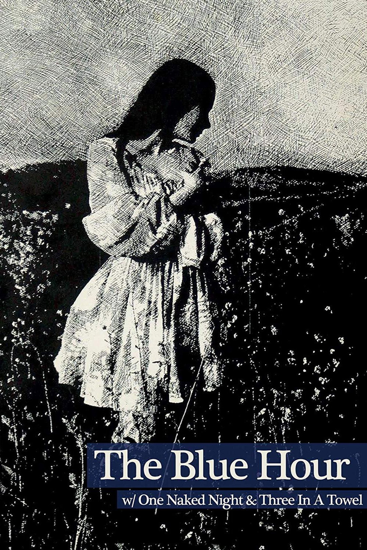 蓝色的时光 (1971) poster