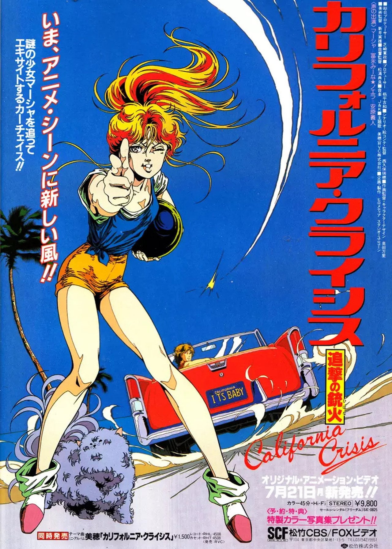 California Crisis - Tsuigeki no Juuka (1986) - Filme
