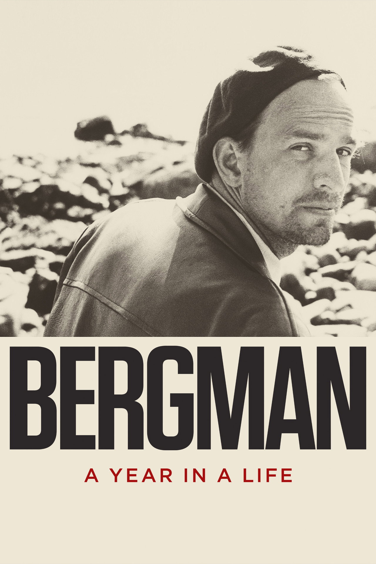 Bergman — A Year in a Life (2018) poster