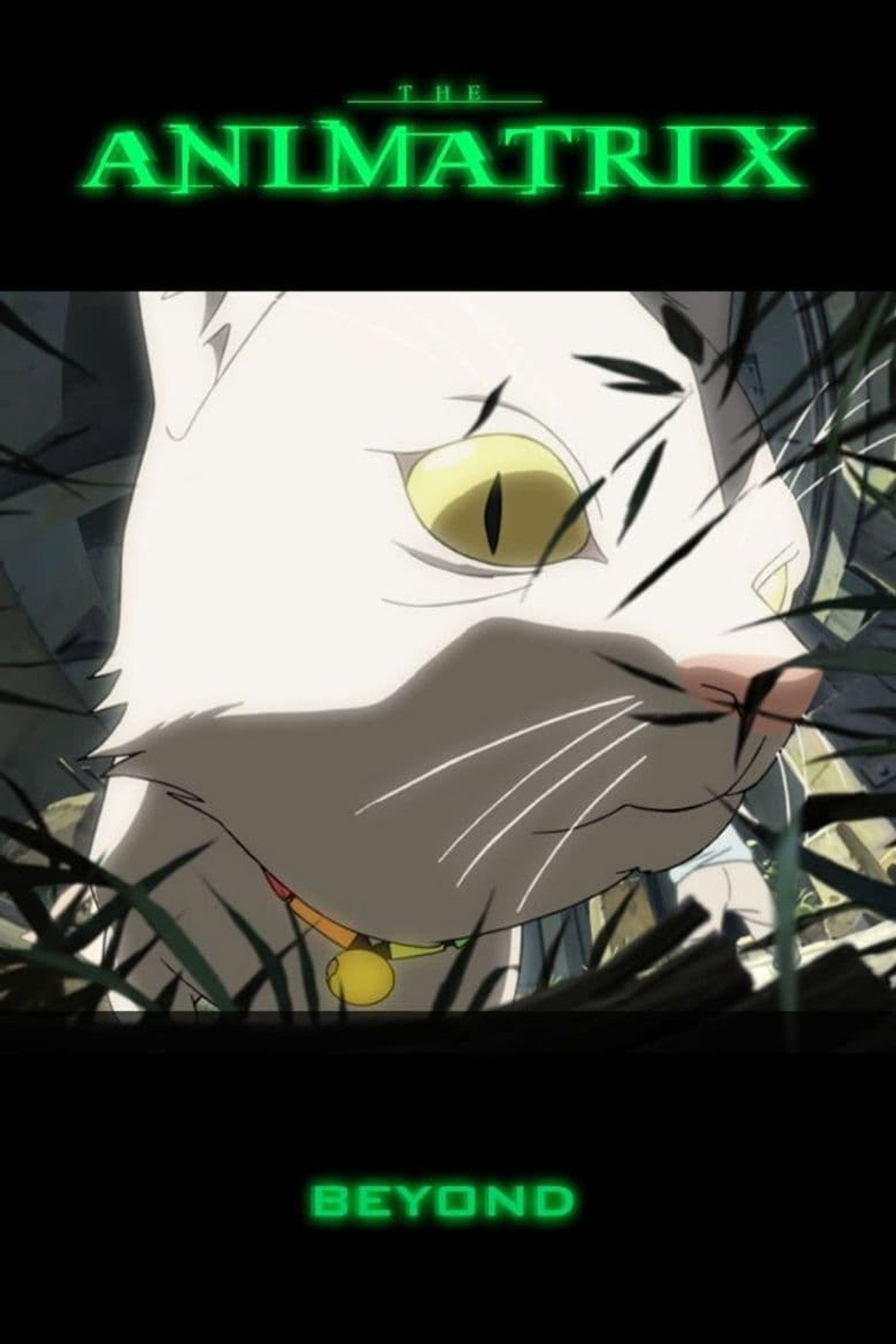 Beyond (2003)