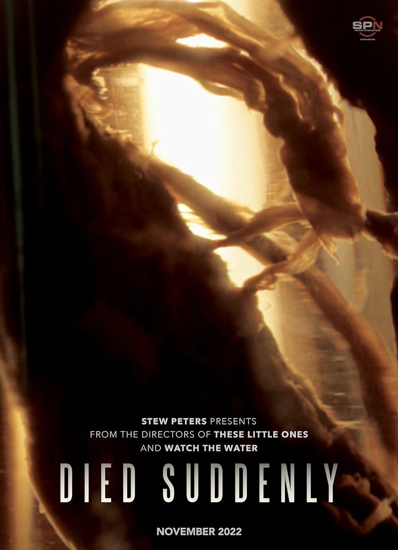 Died Suddenly (2022) - Filme