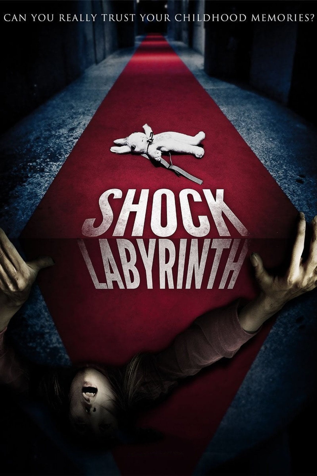 The shock labyrinth (2009) poster