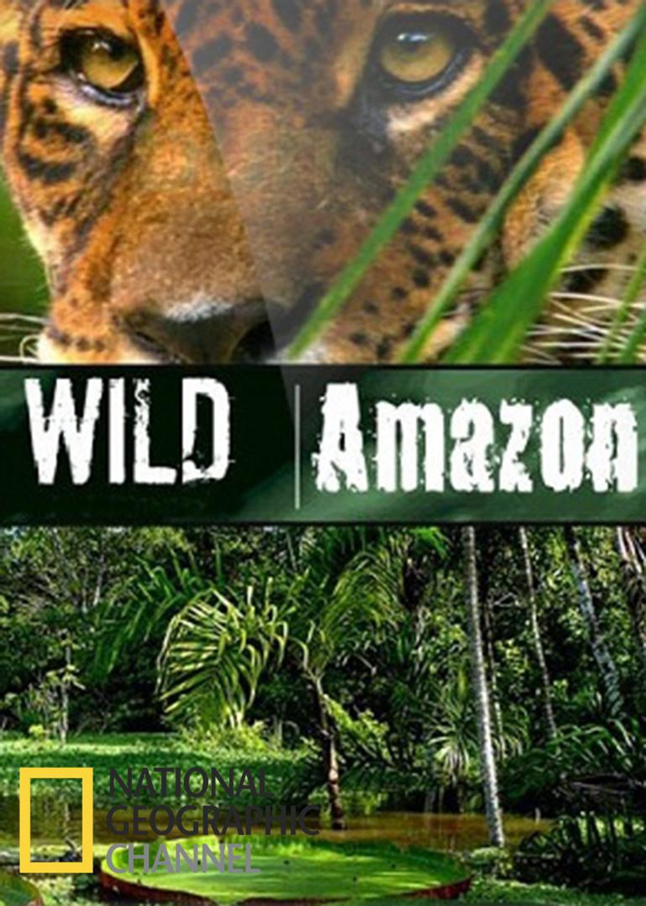 Wild Amazon (2011)