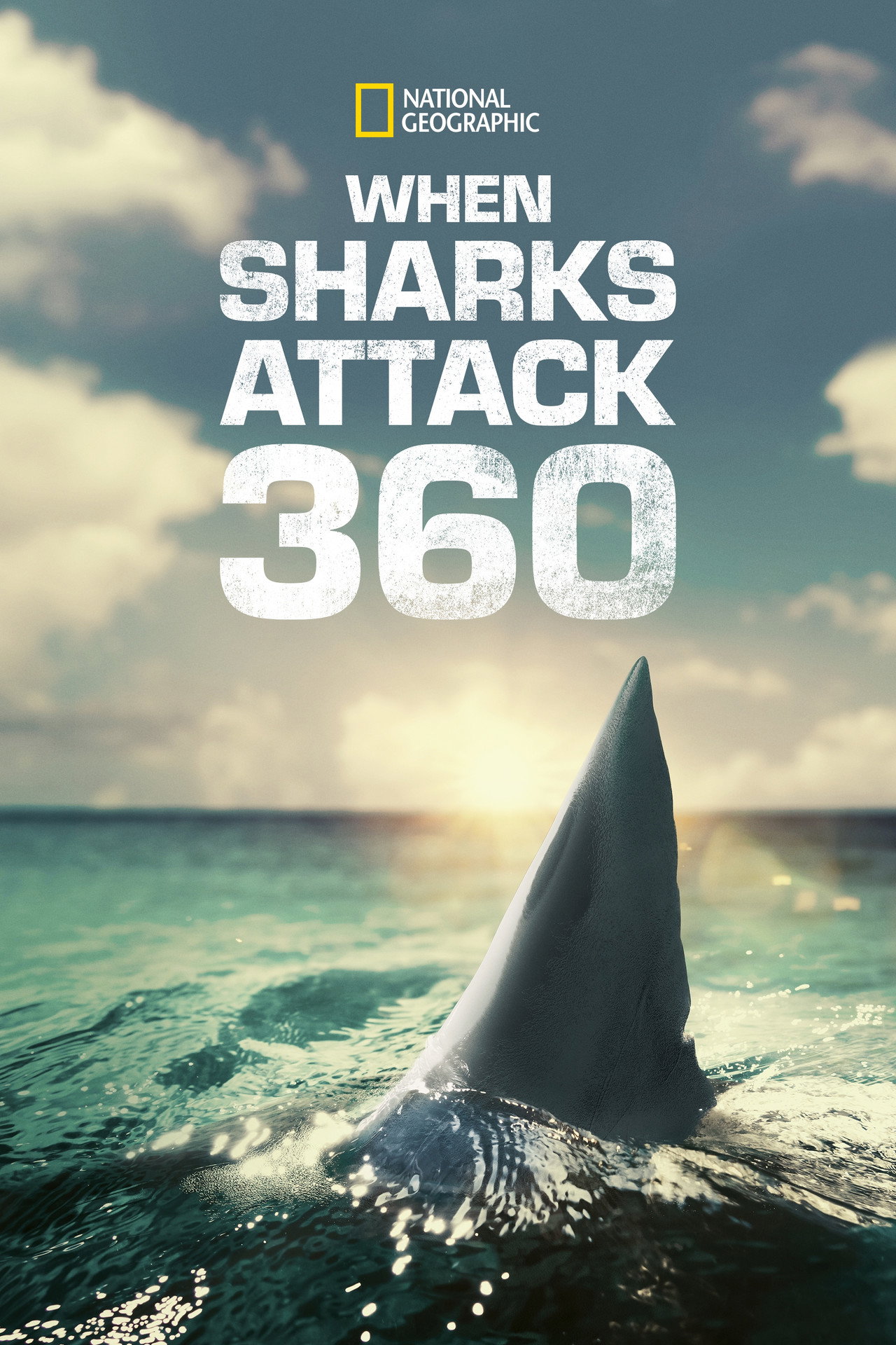 Shark Attack 360 (2023) - Сериал