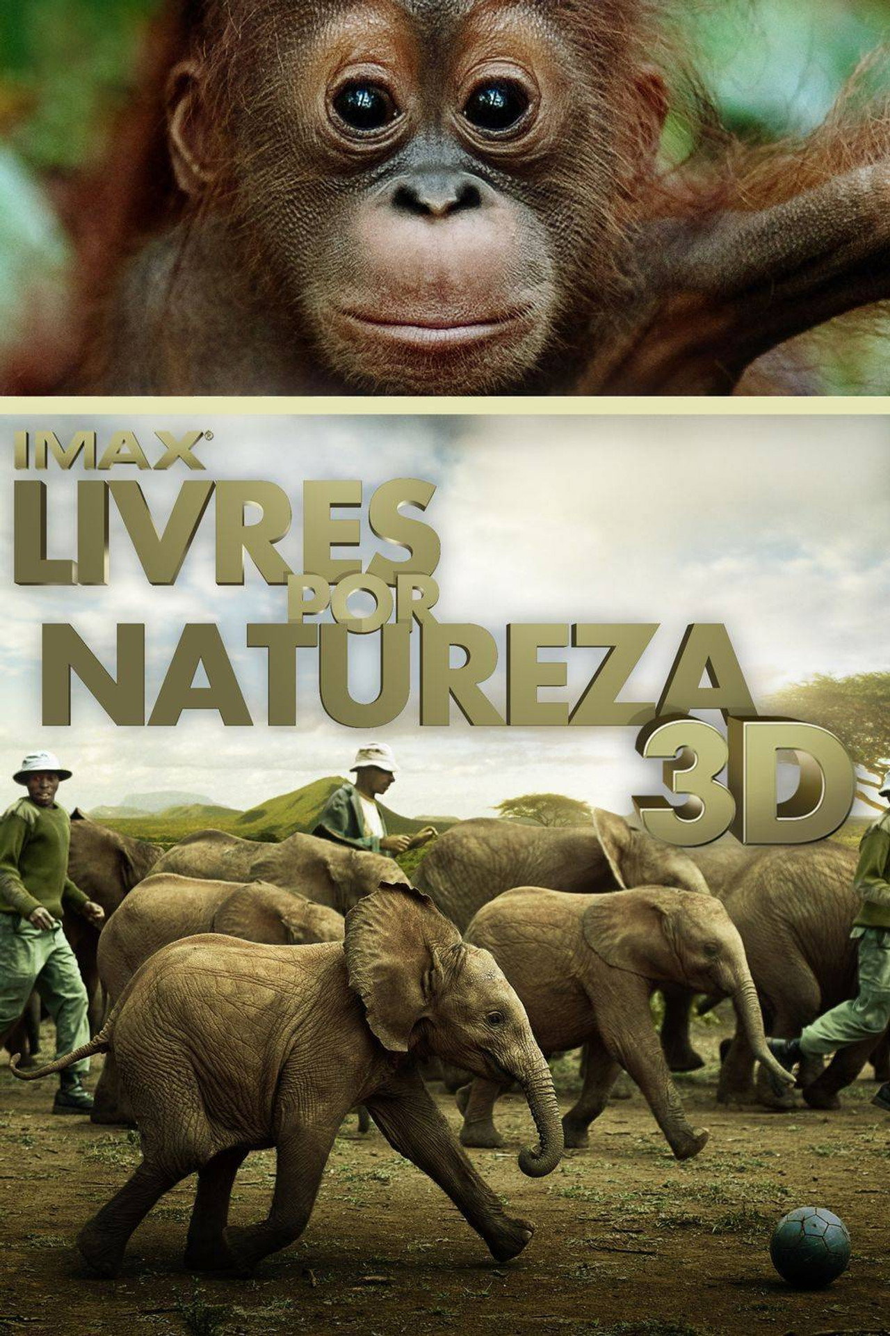 Livres por Natureza (2011)