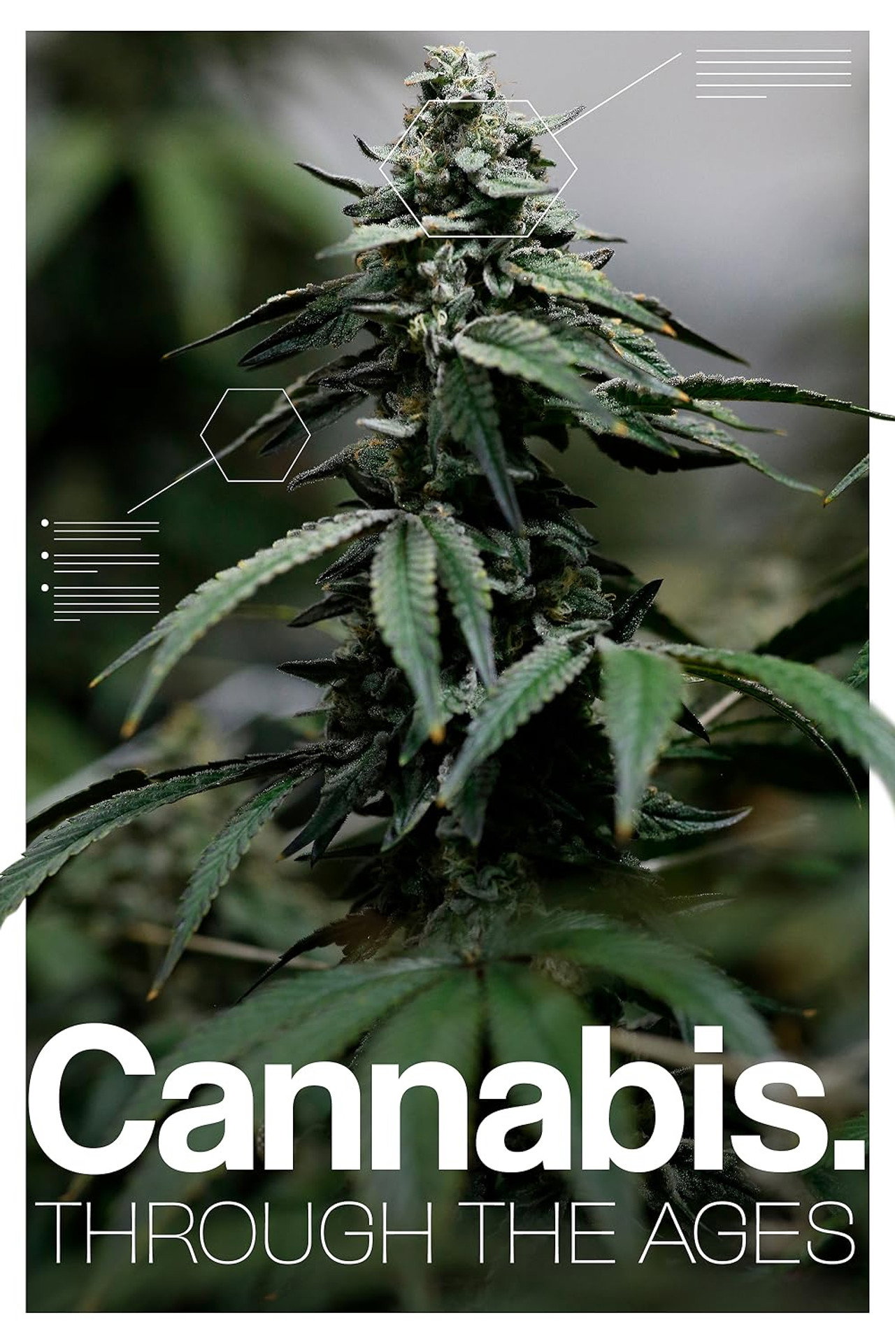 Cannabis: Through the Ages (2020) - Película