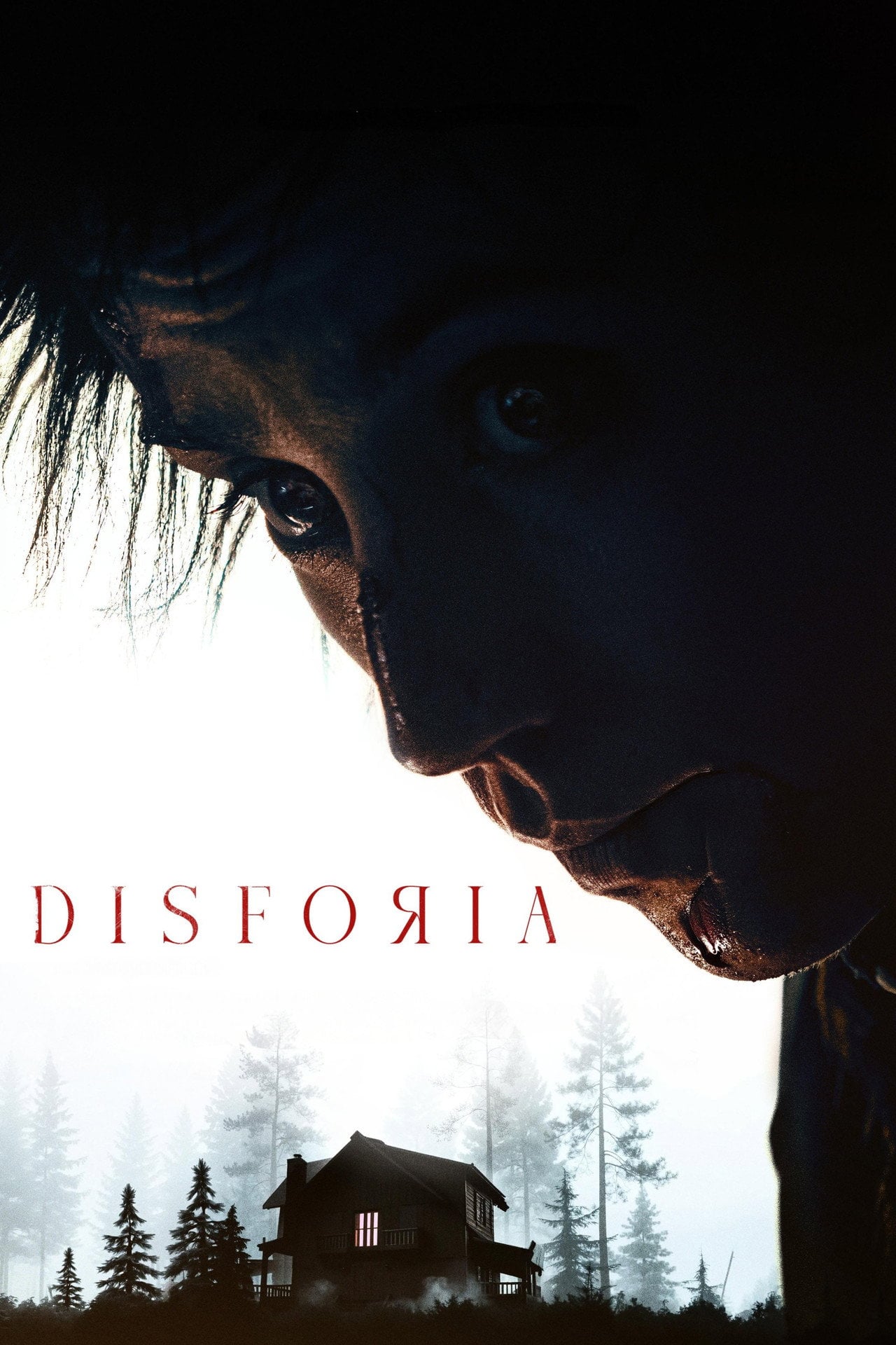 Disforia (2025) - Filme
