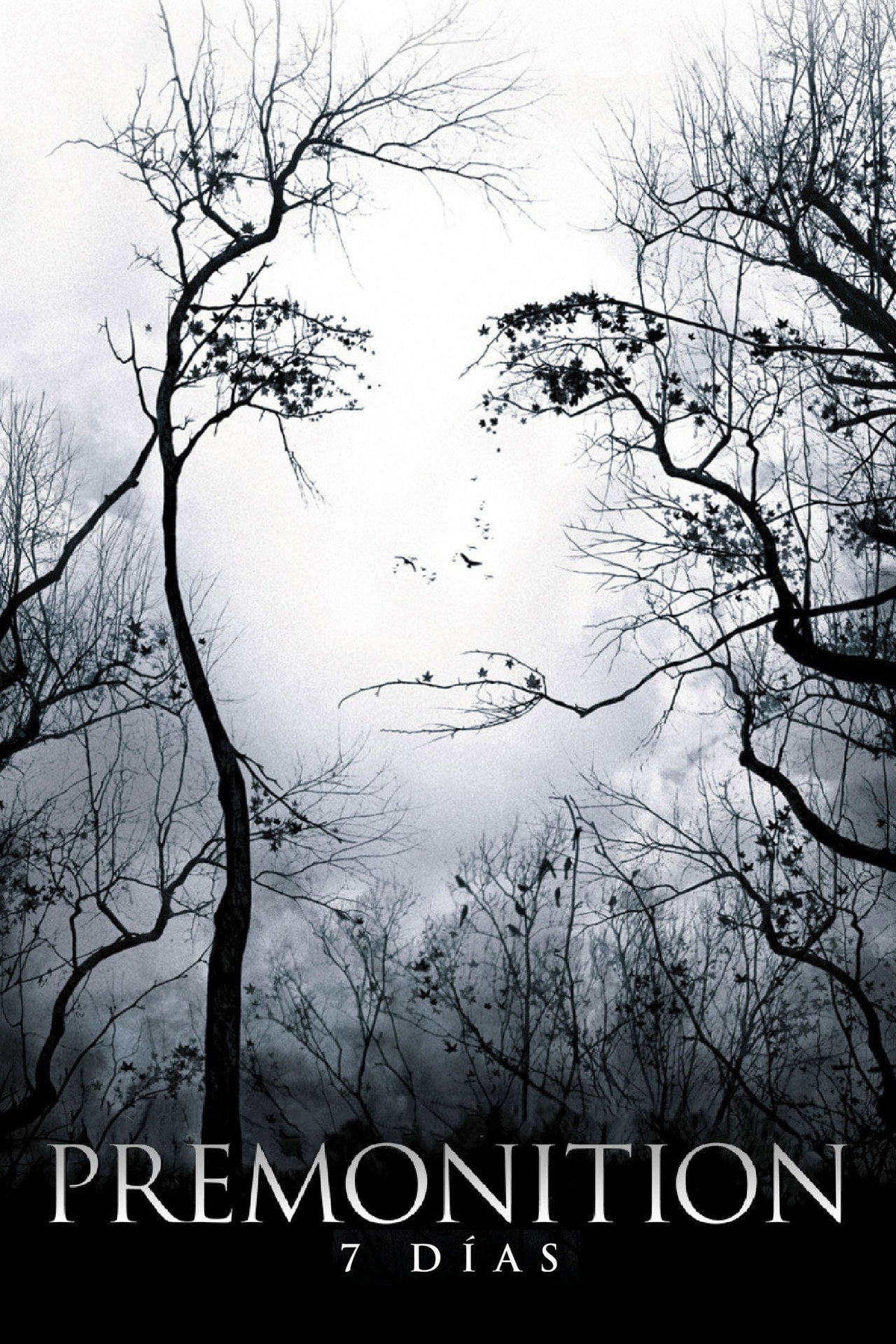 Premoniciones (2007)