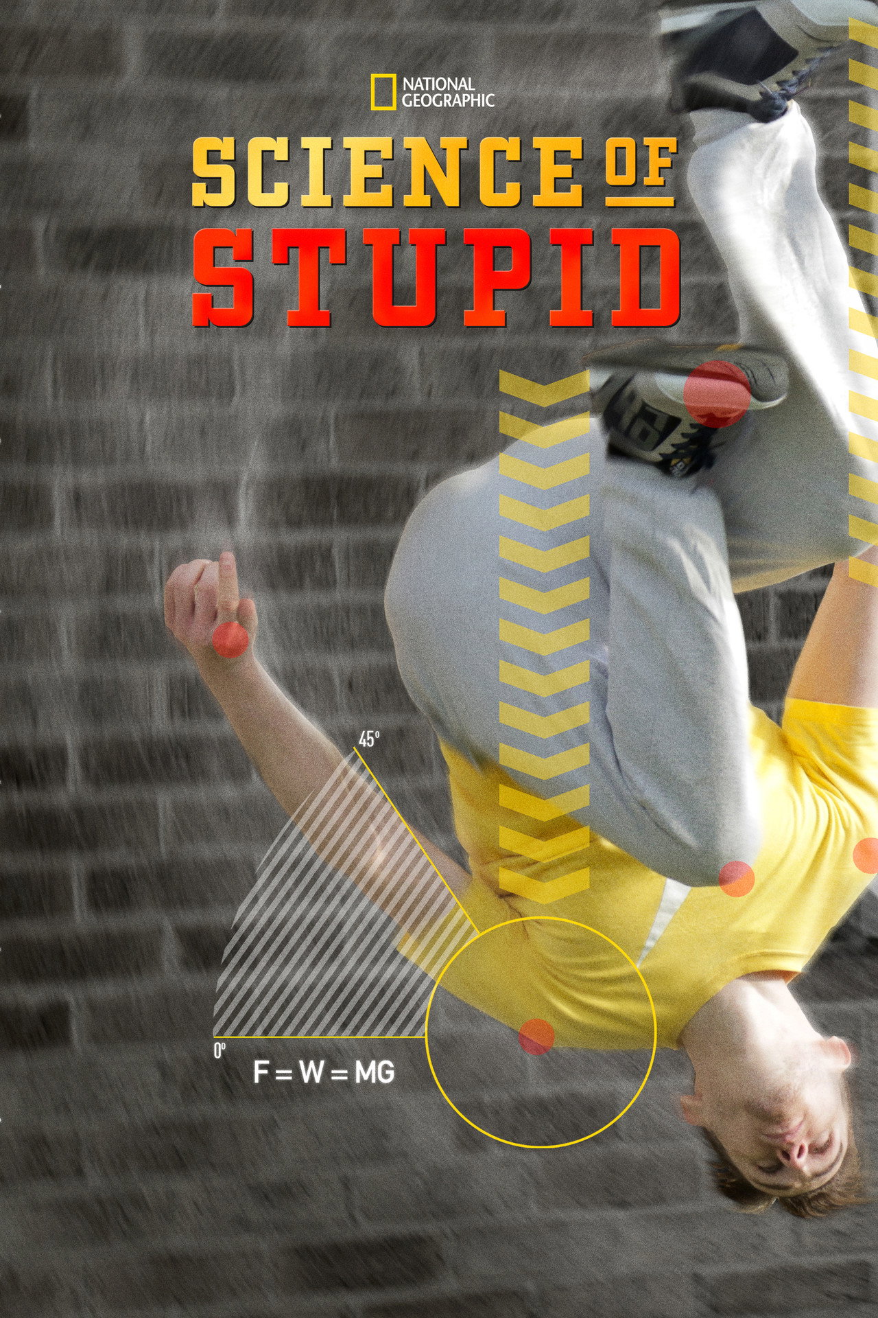 Science of Stupid (2014) poster