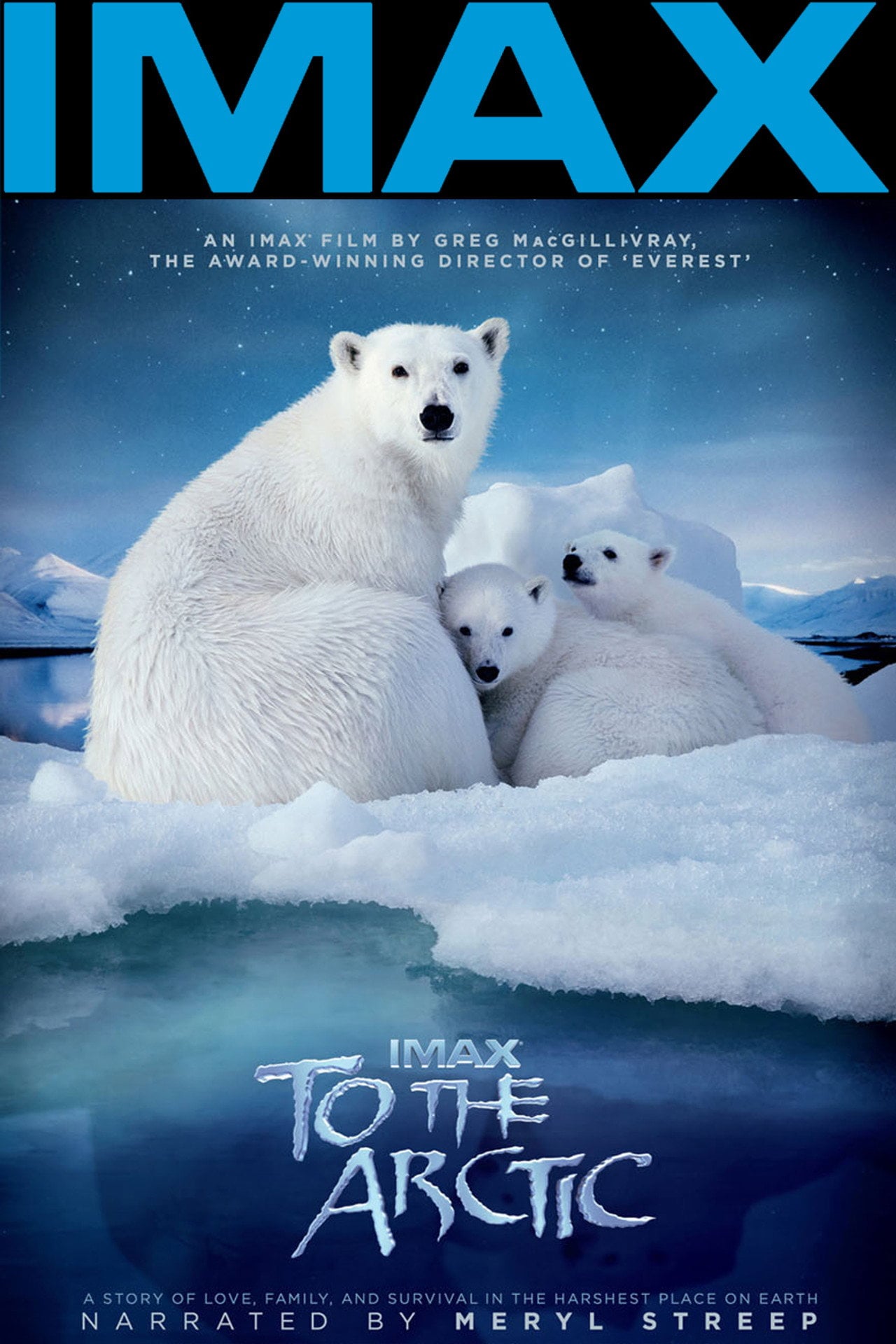 To the Arctic 3D (2012) - Movie