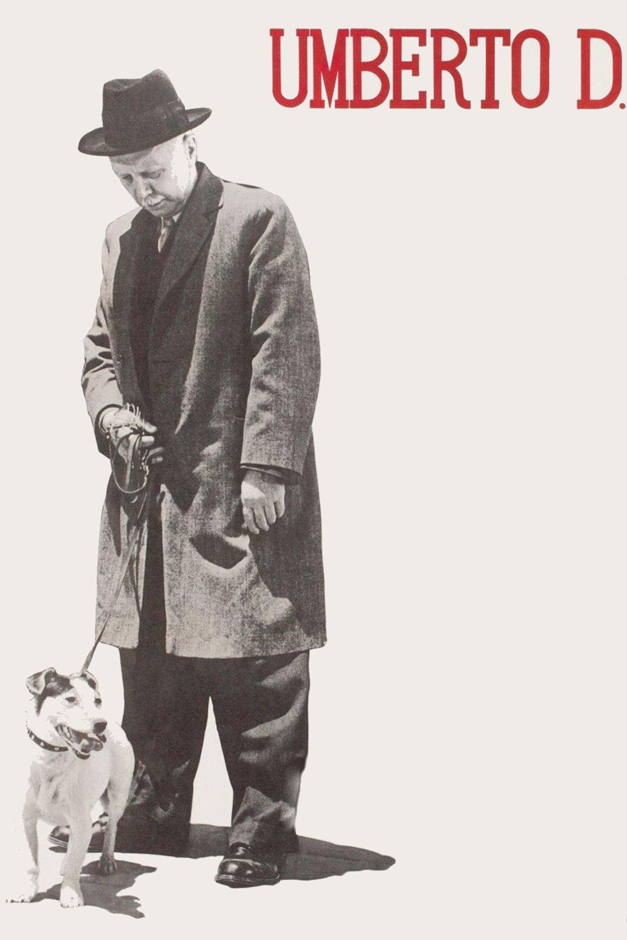 風燭淚 (1952)
