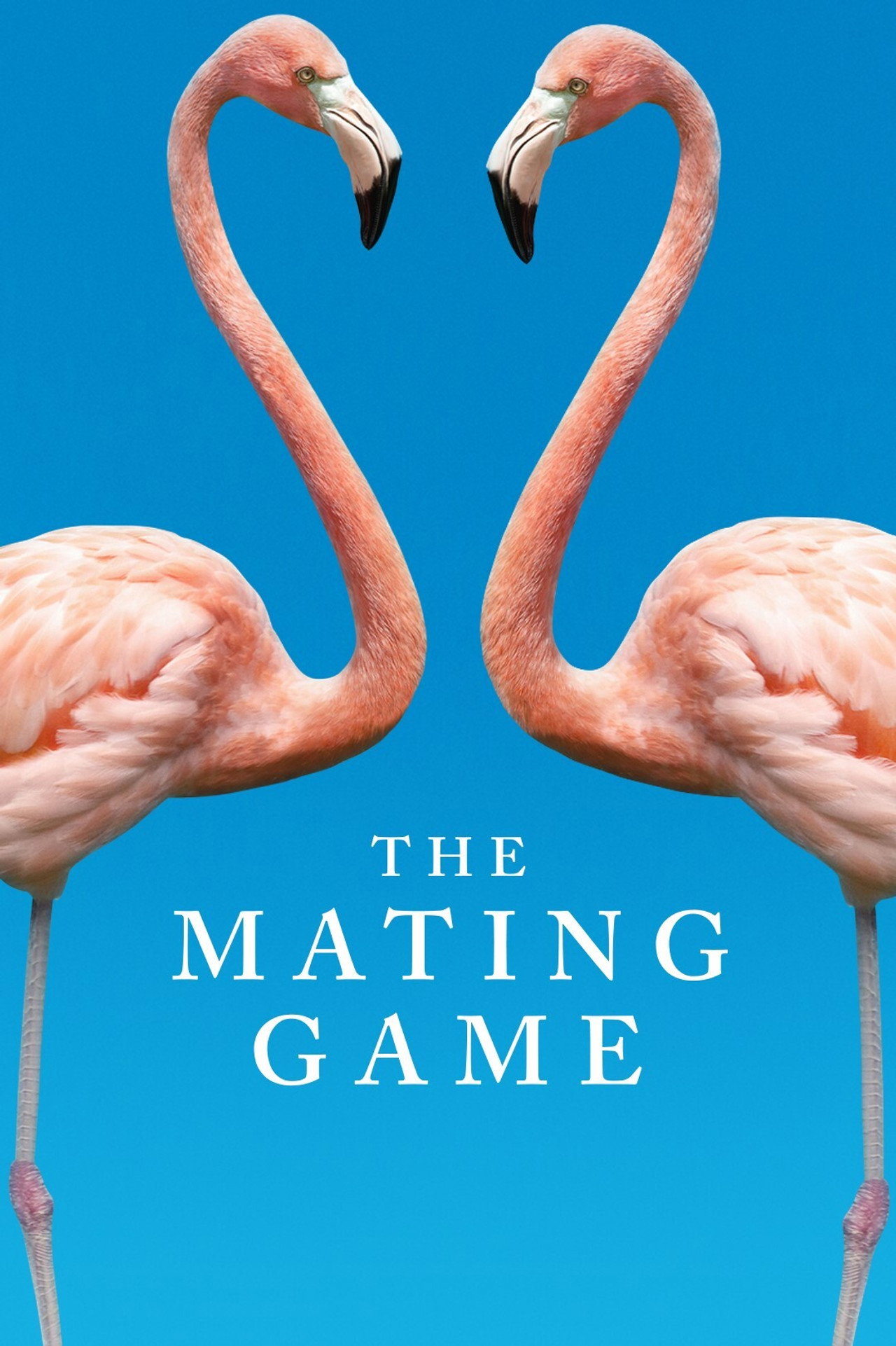 The Mating Game (2021) - TV
