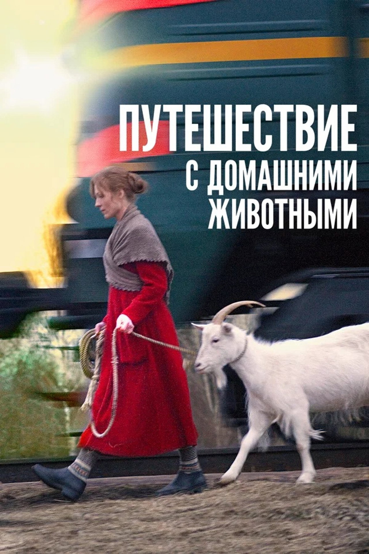 和家庭動物旅行 (2007)