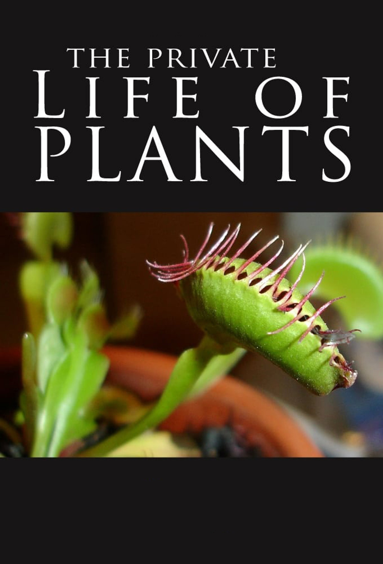 The Private Life of Plants (1995)