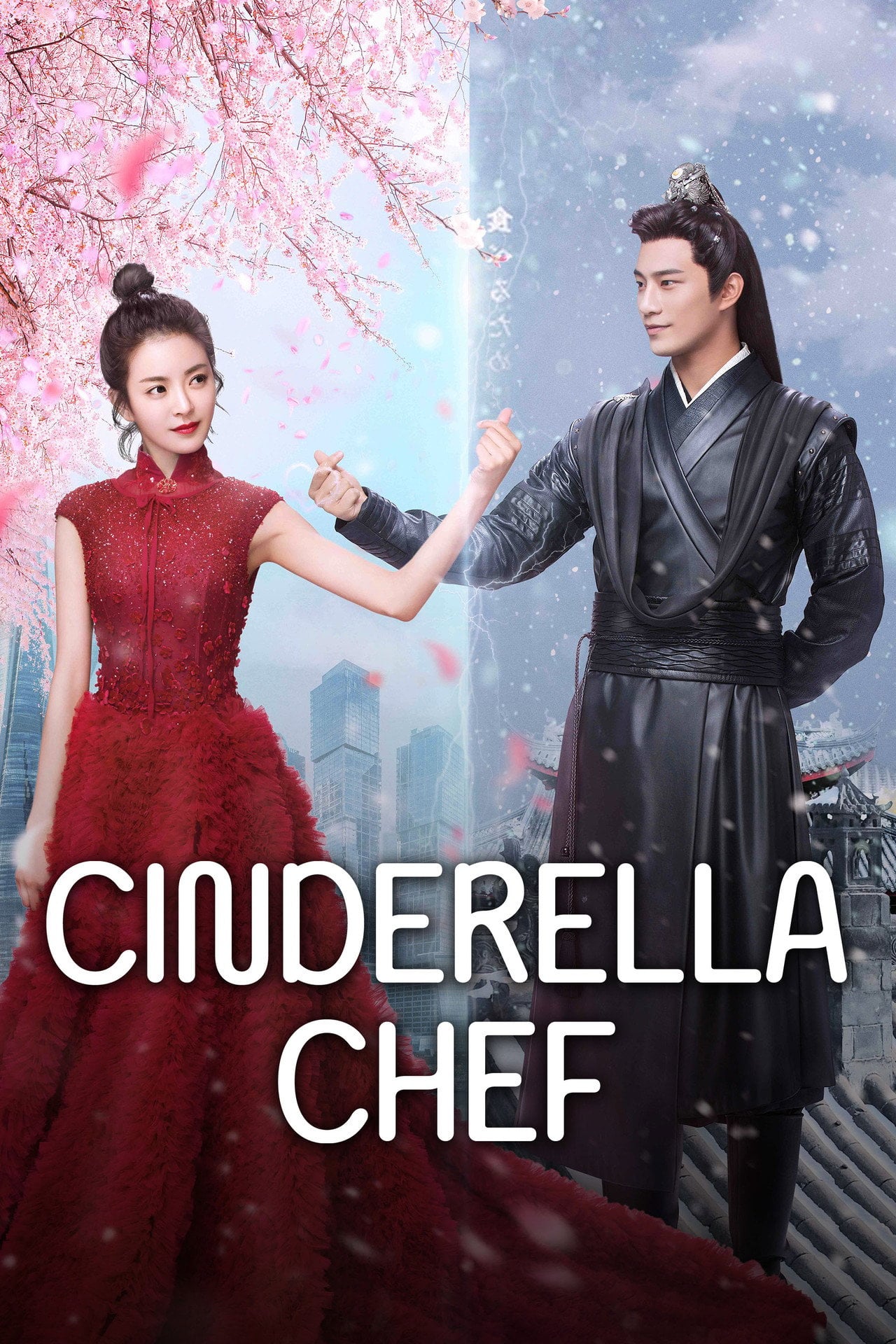 Cinderella Chef (2018) - TV