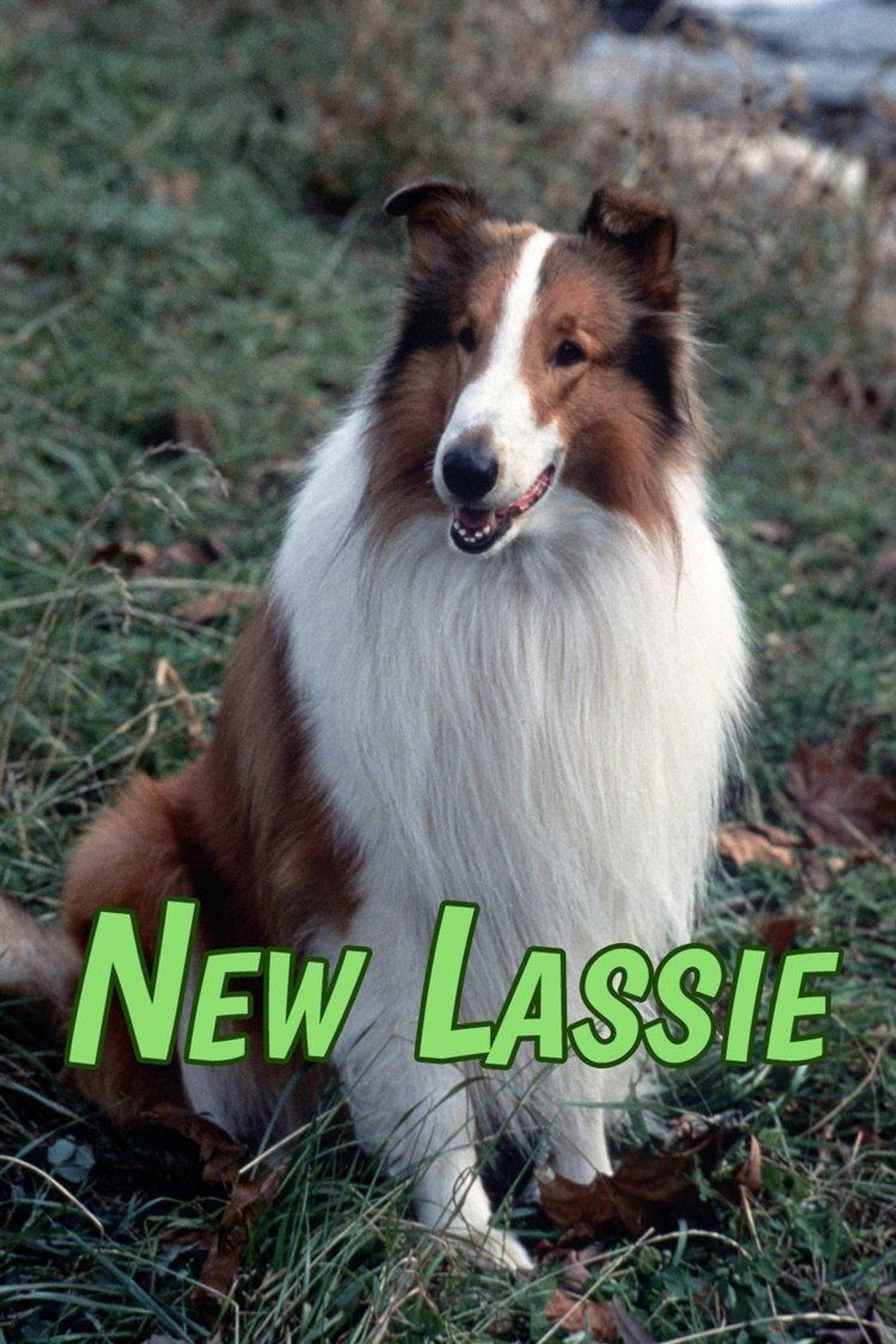 As Novas Aventuras de Lassie (1989) poster