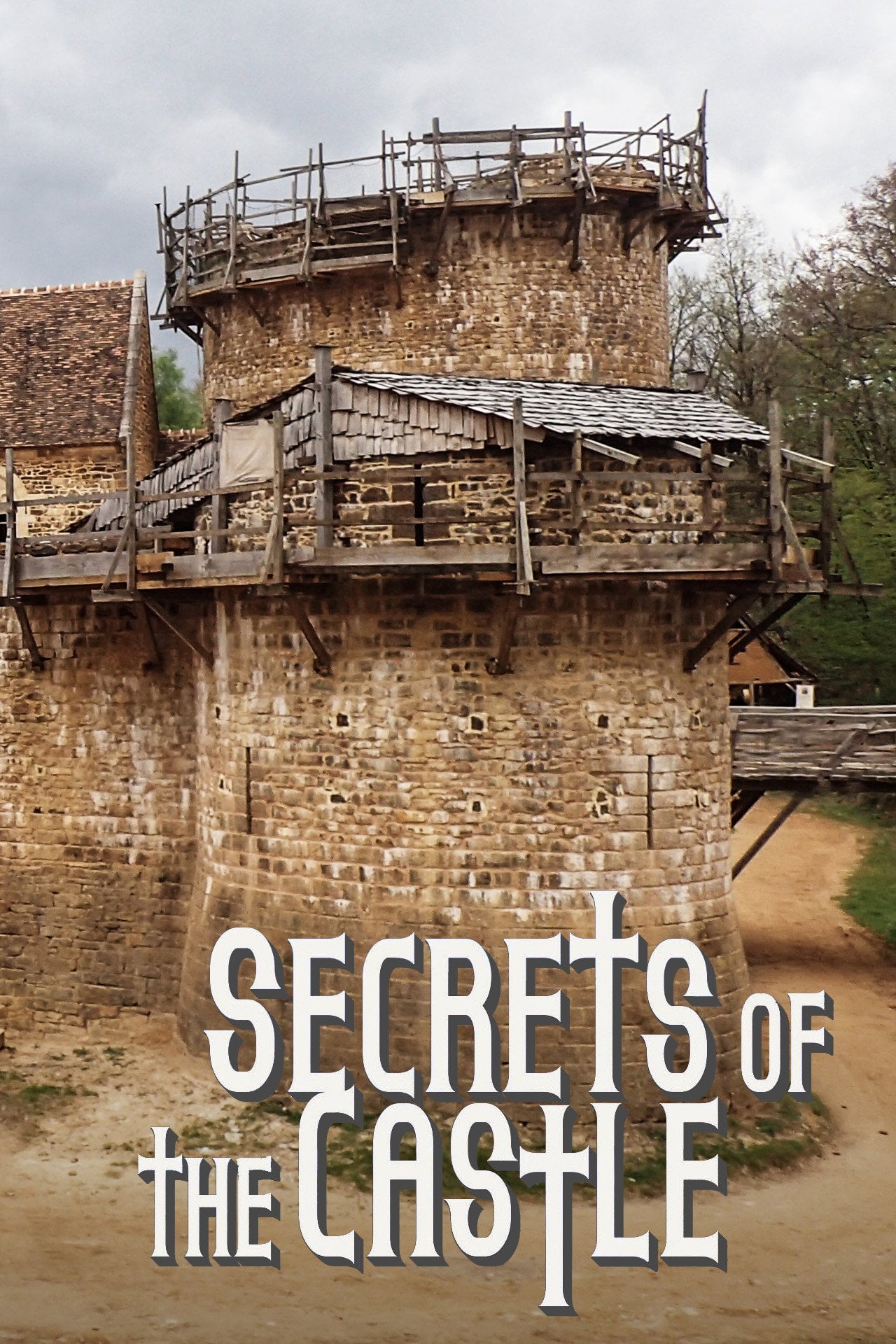 Secrets of the Castle (2014) - TV