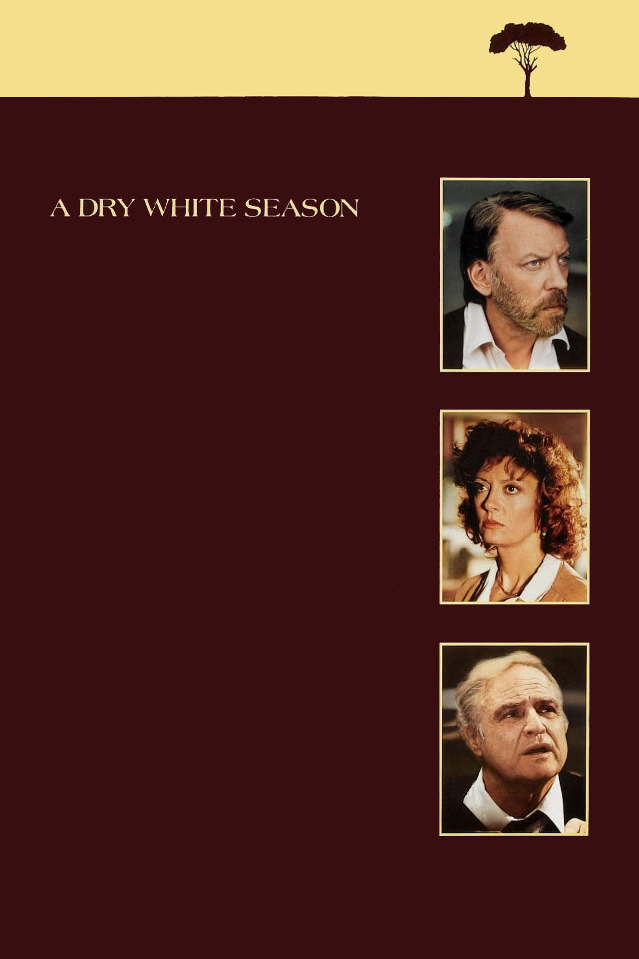 Сухой белый сезон (1989)