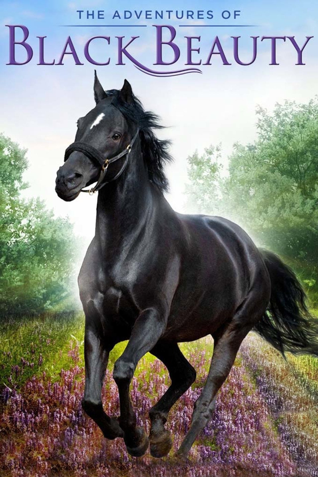 The Adventures of Black Beauty (1972) poster