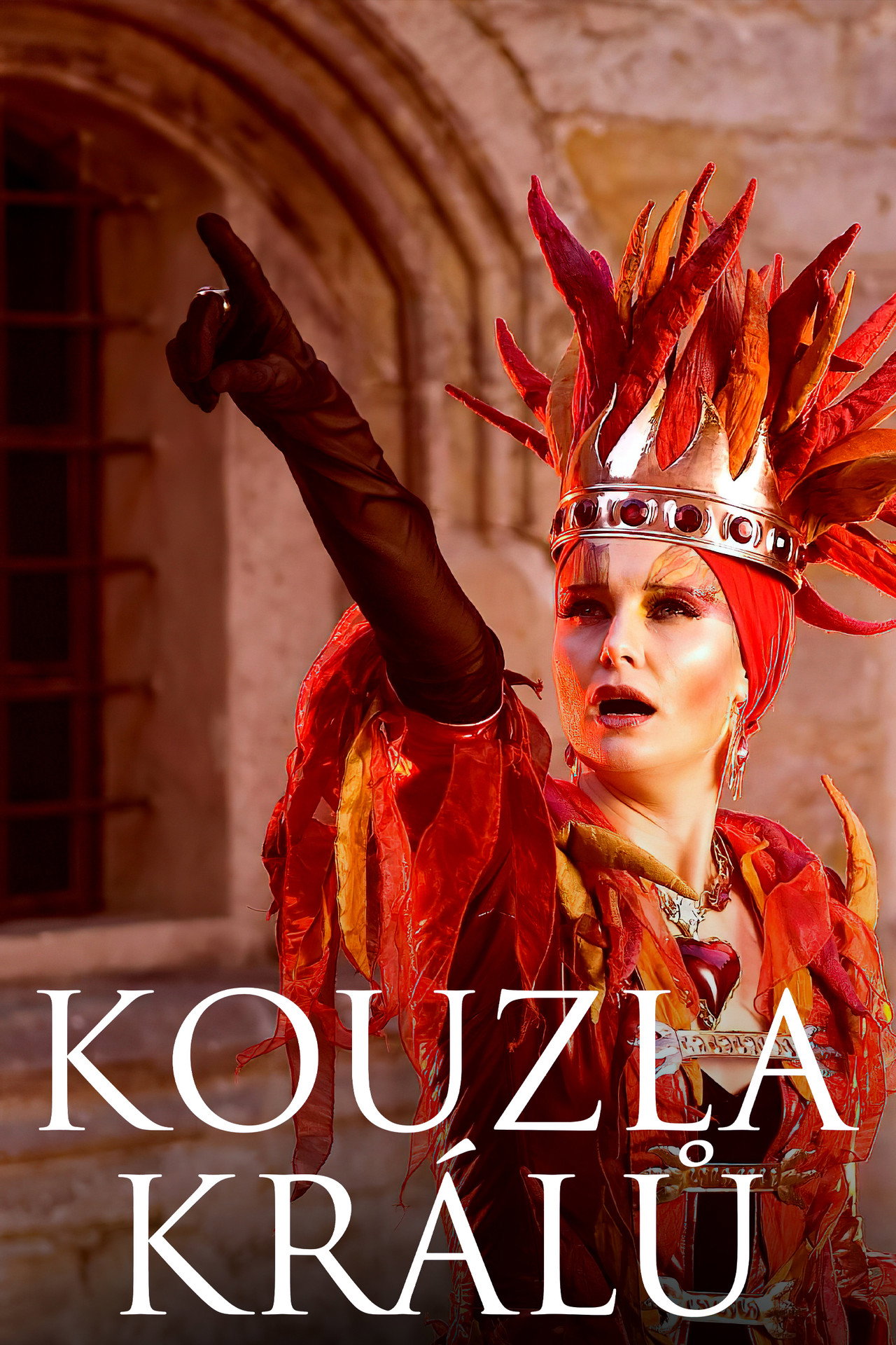 Kouzla králů. (2008) poster