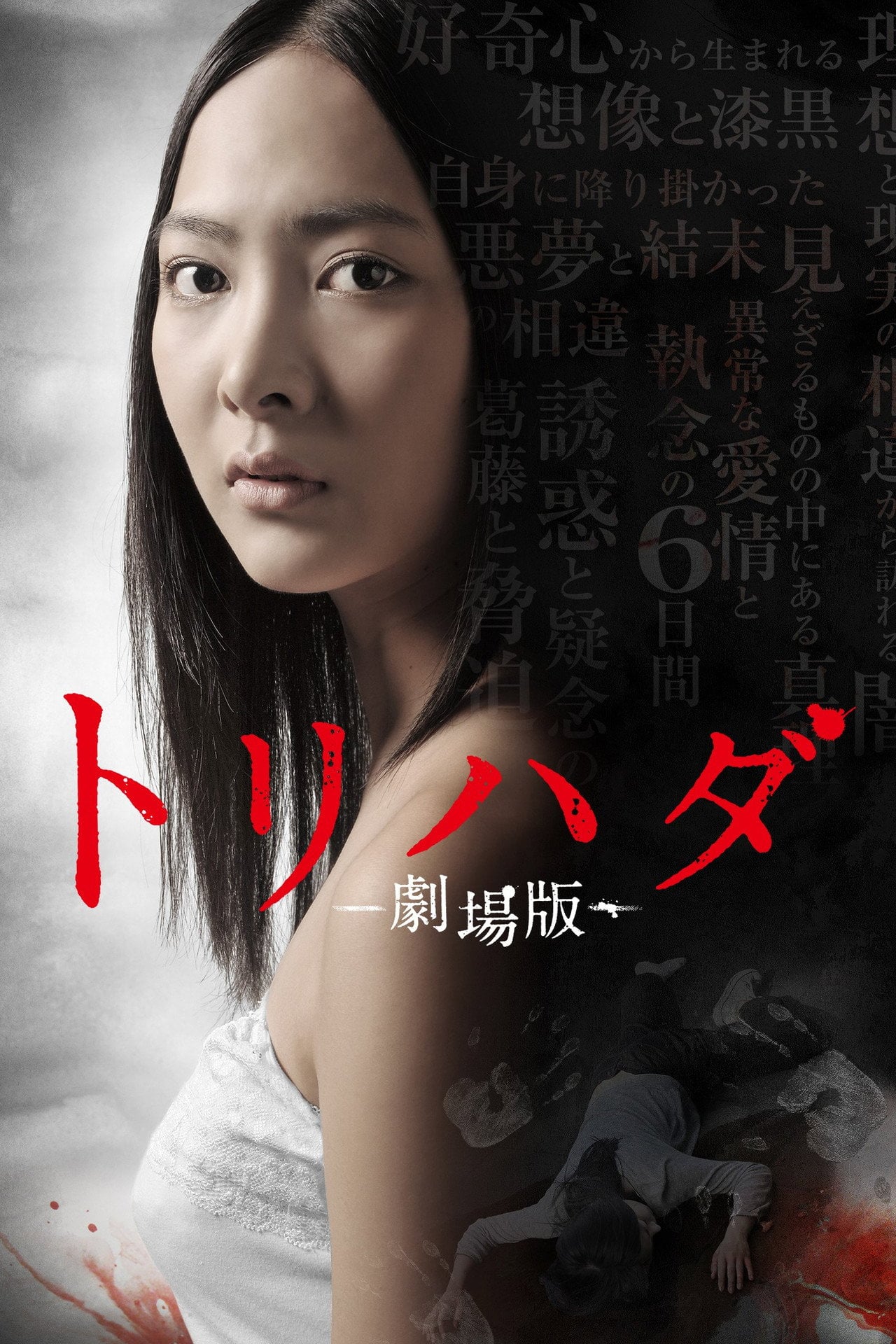 Torihada: The Movie (2012) poster