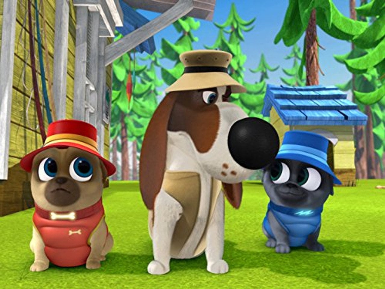 Puppy Dog Pals S01E15