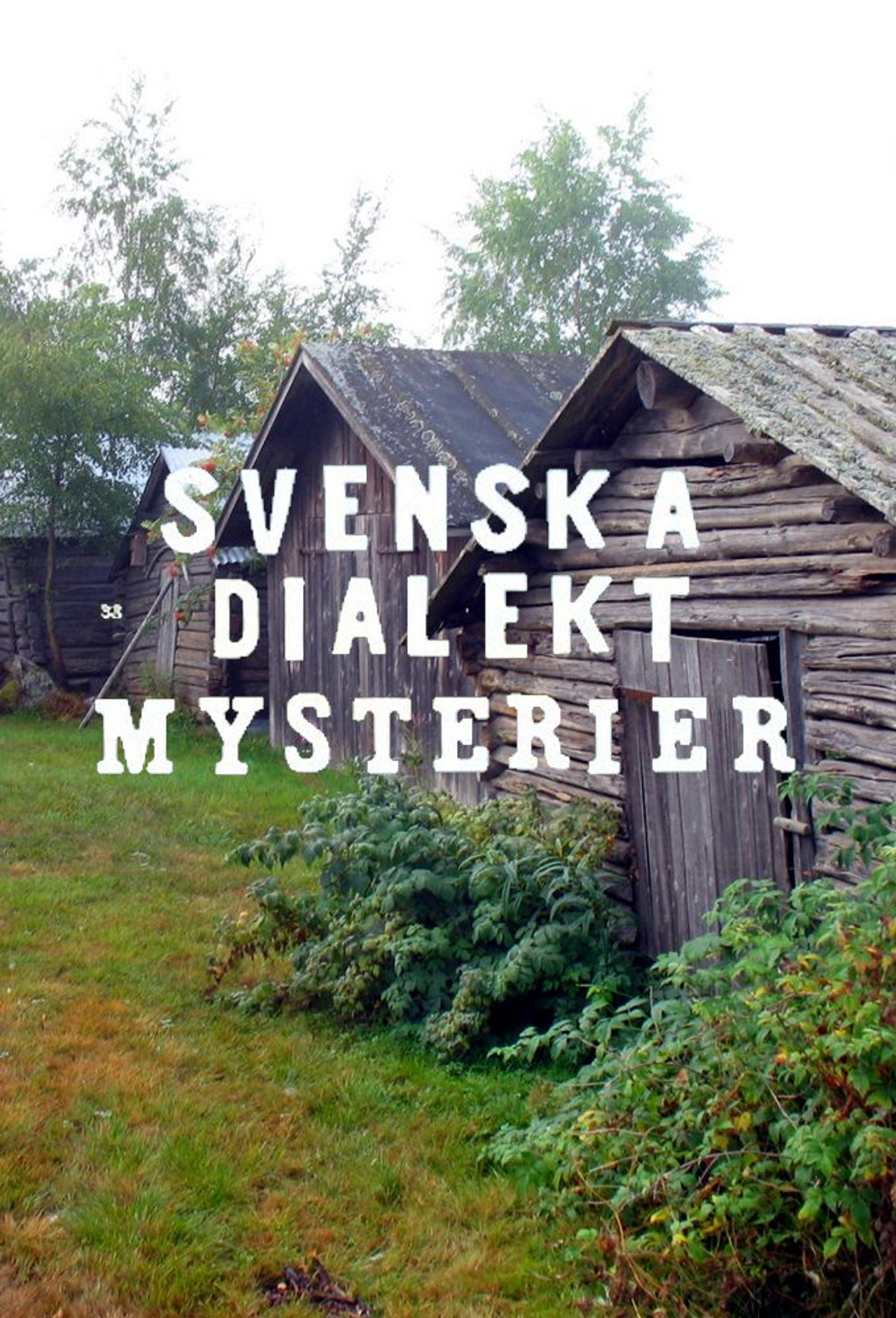 Dialekter S01E06