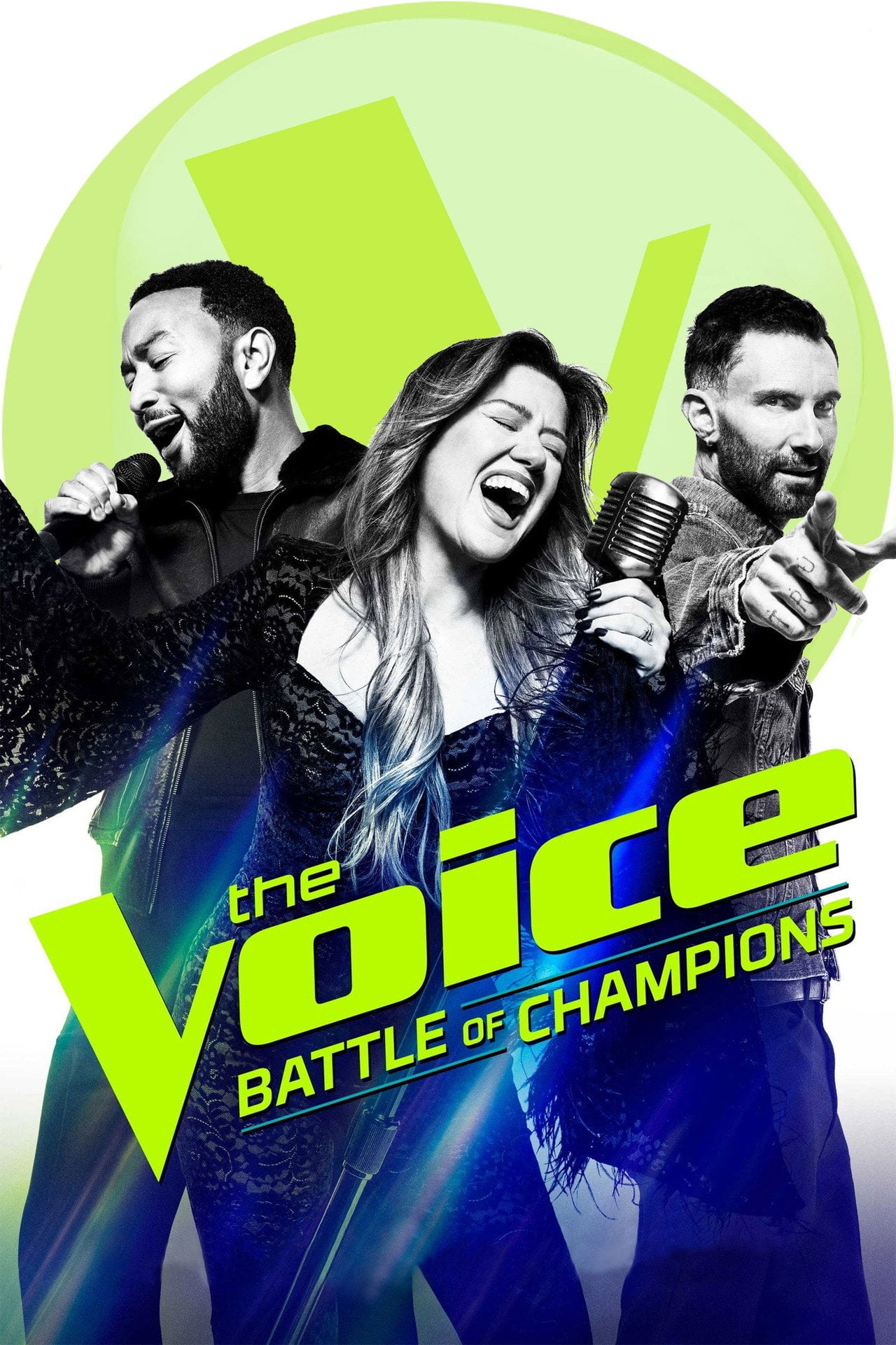 The Voice (2011) poster