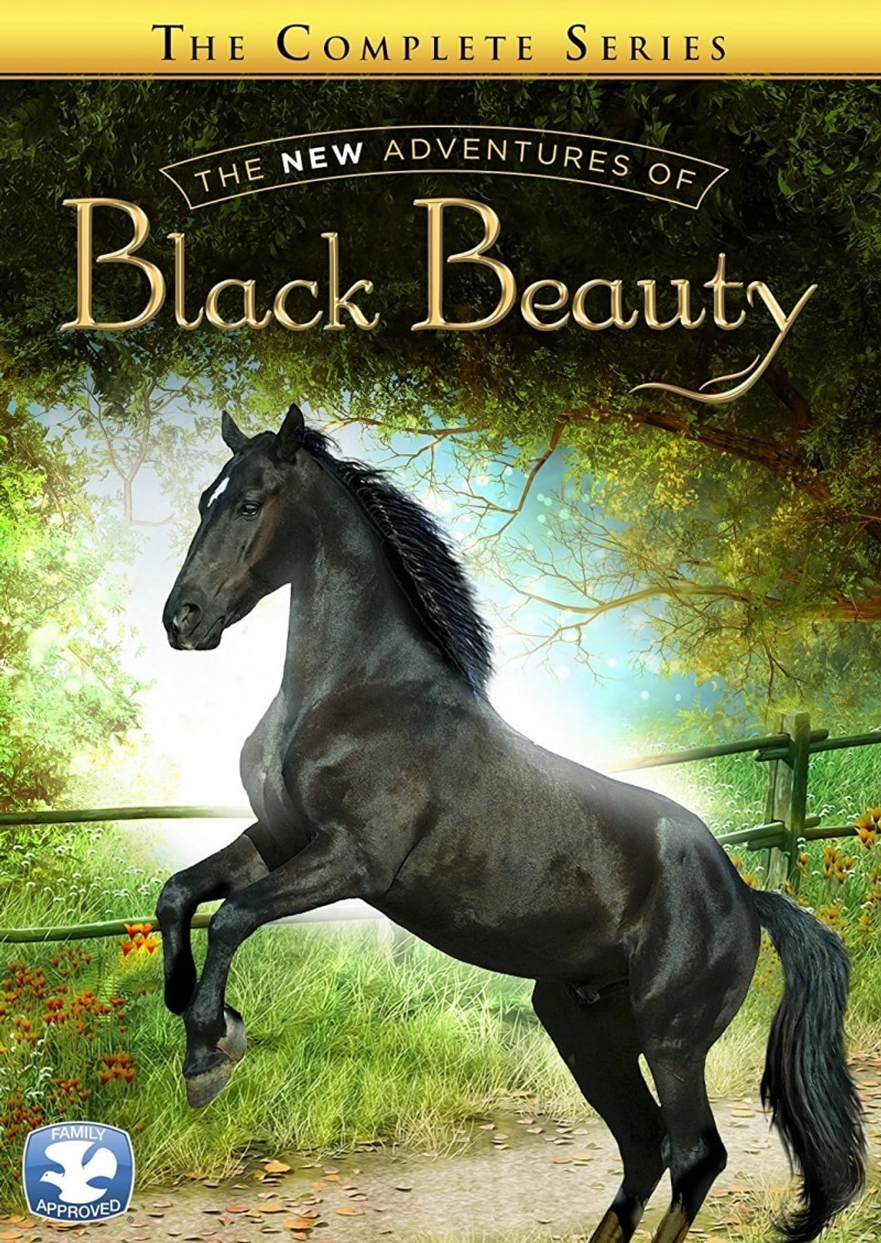The New Adventures of Black Beauty (1990) poster