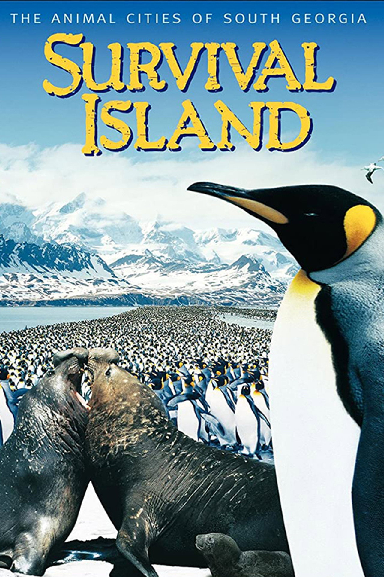 Survival Island (1996) poster