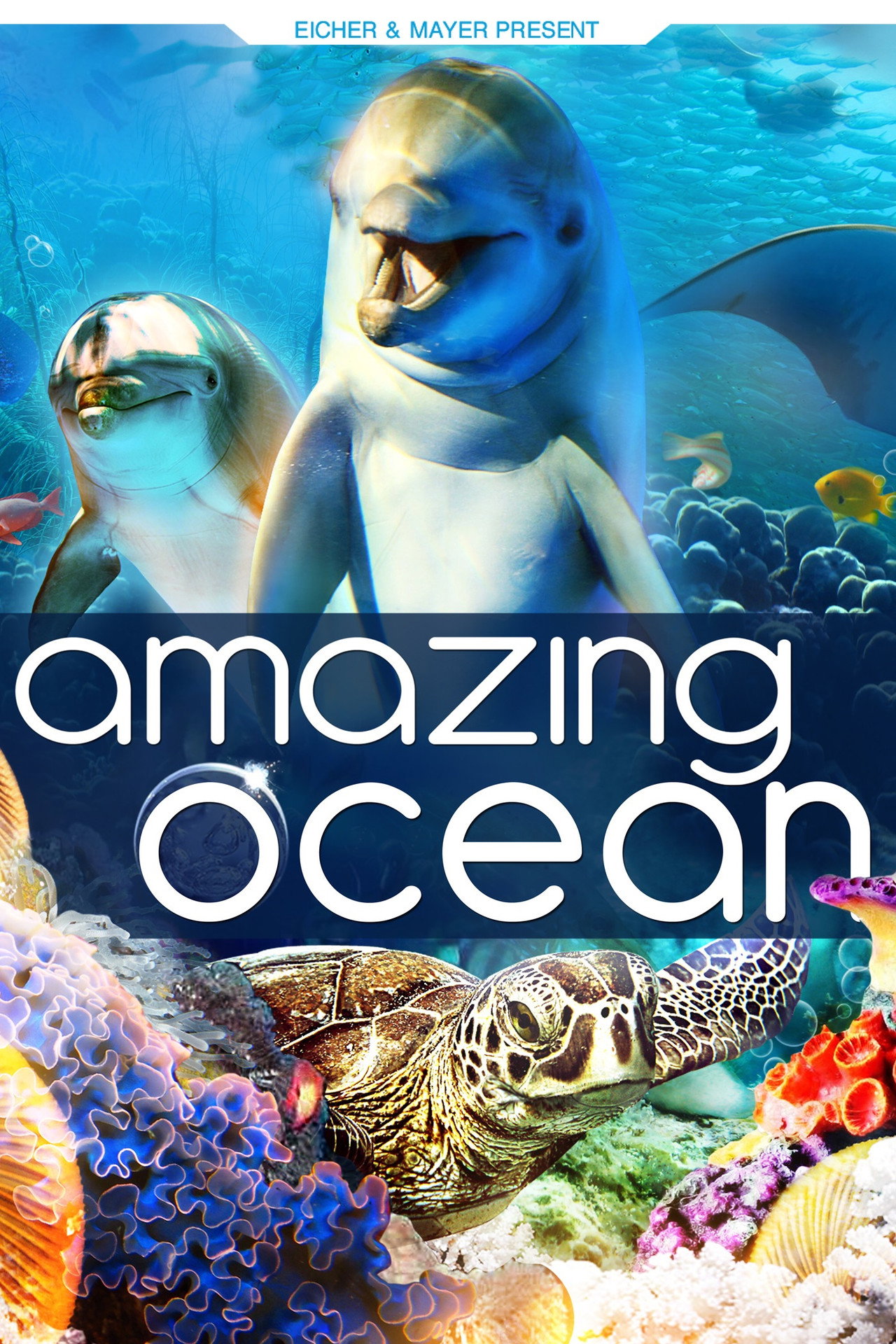 Amazing Ocean 3D (2013) - 映画