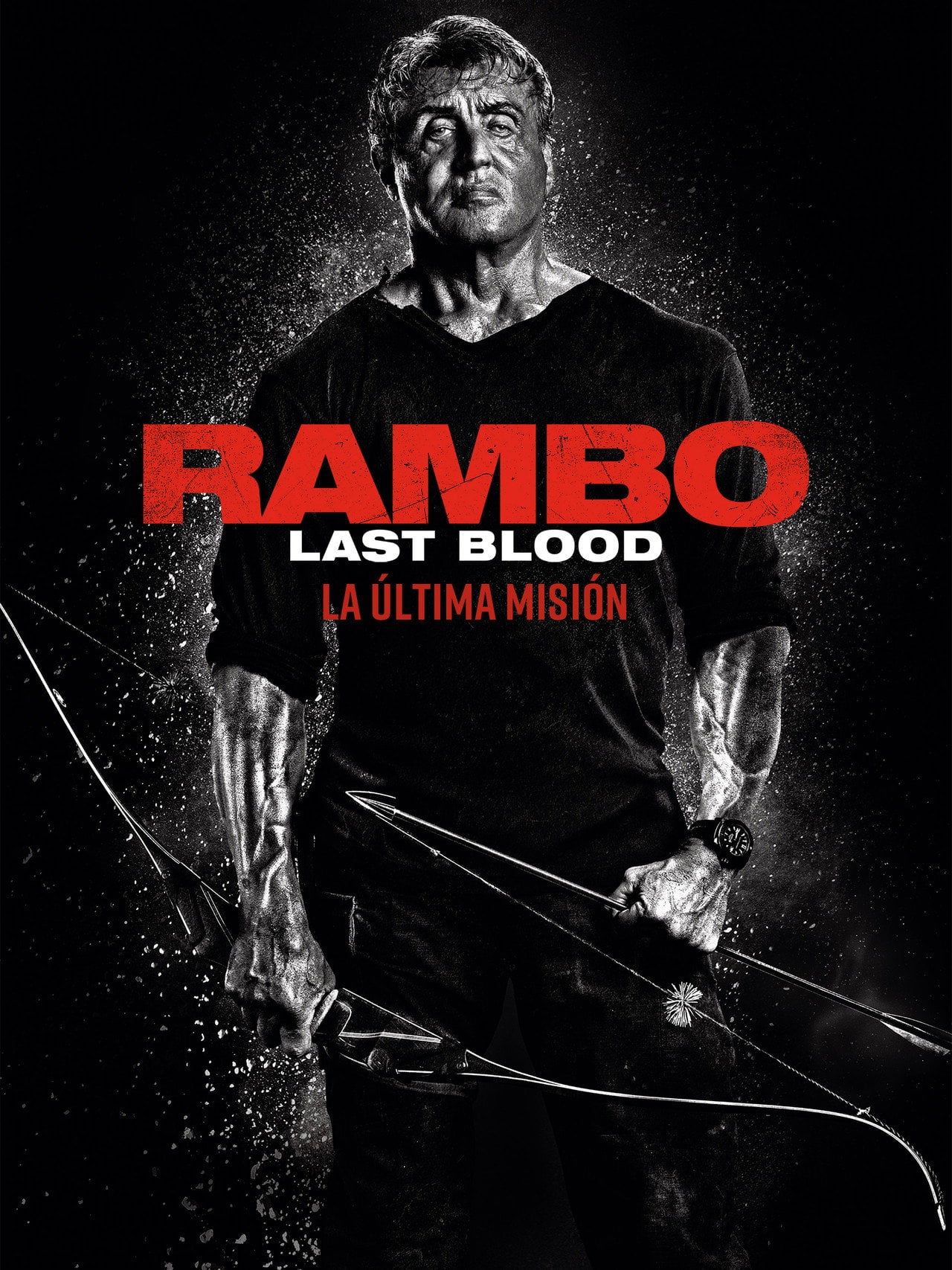 Rambo: Last Blood (2019) - Película