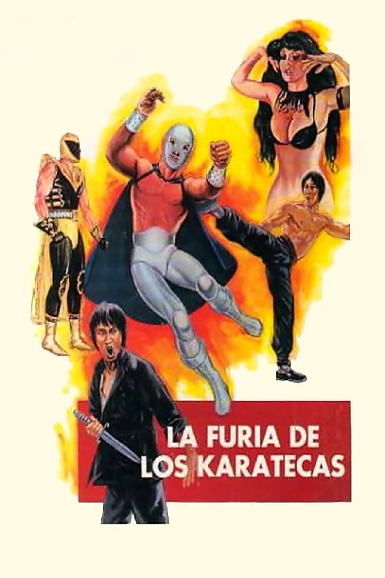 The Fury of the Karate Experts (1982) poster