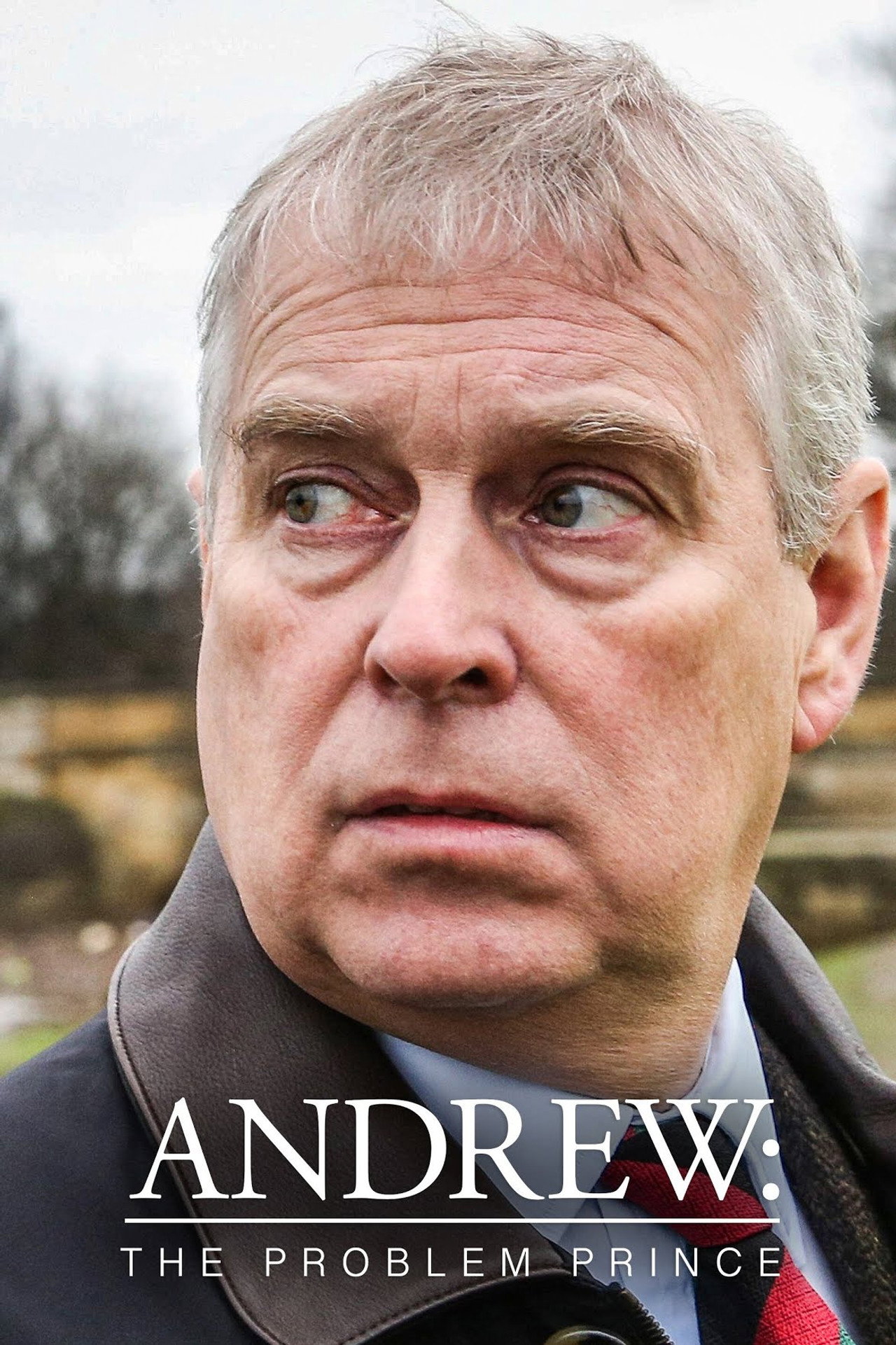 Andrew: The Problem Prince (2023) - TV