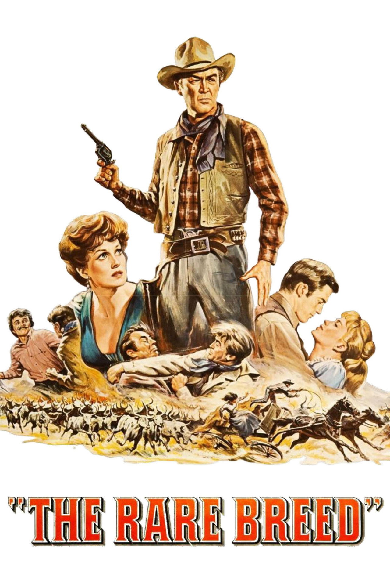 Rancho bravo (1966) poster