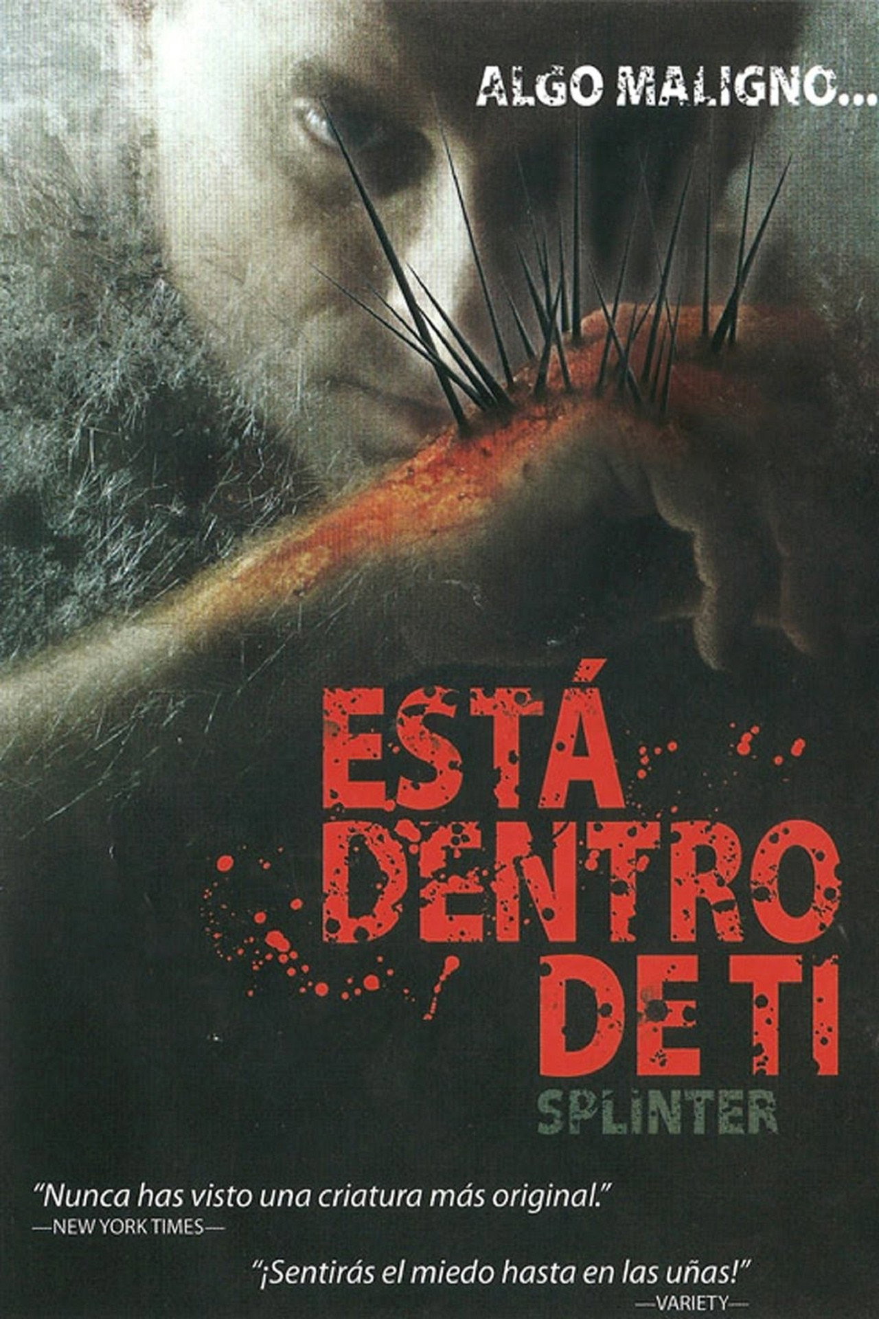 Está dentro de ti (2008)