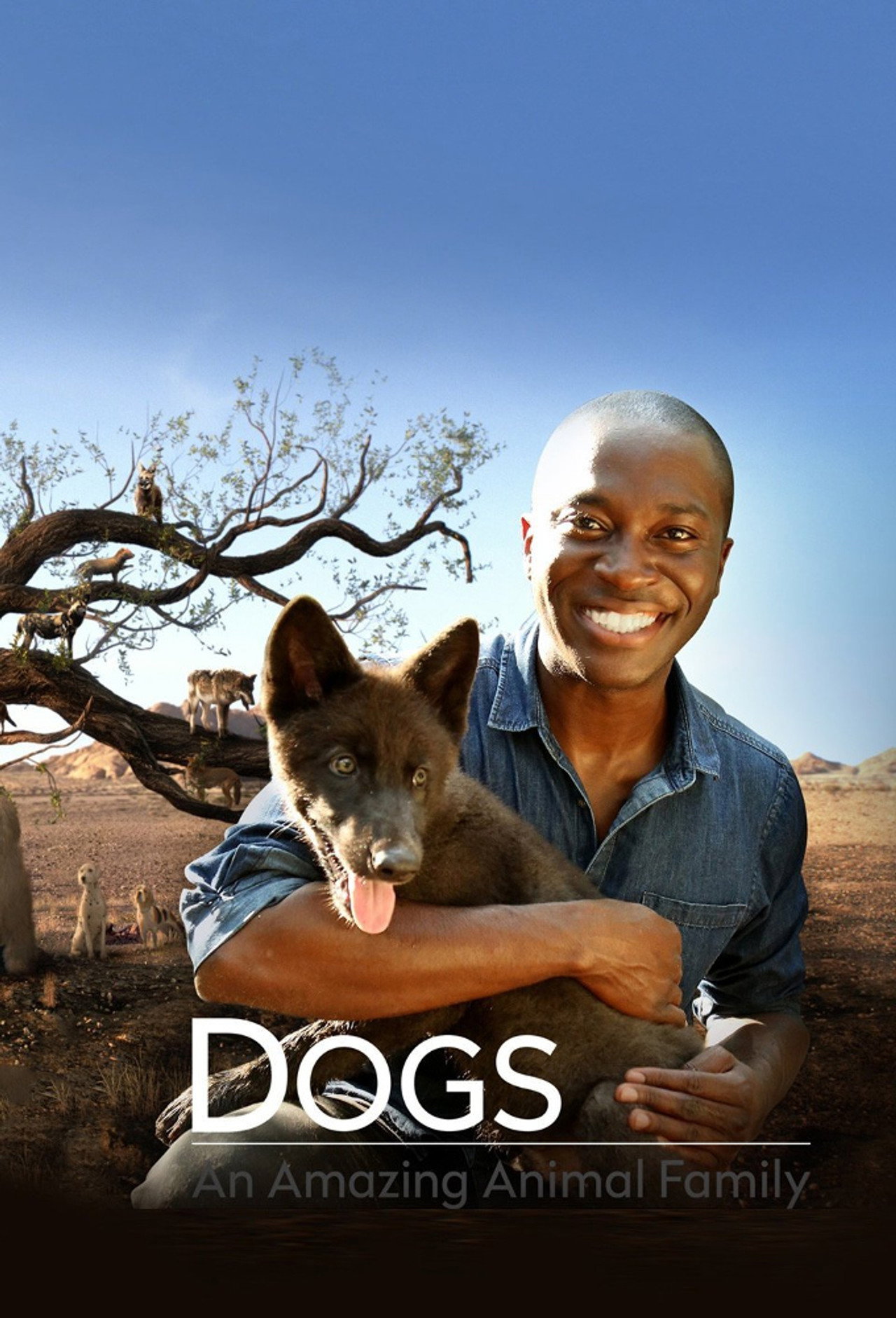 Dogs: An Amazing Animal Family (2017) - TV