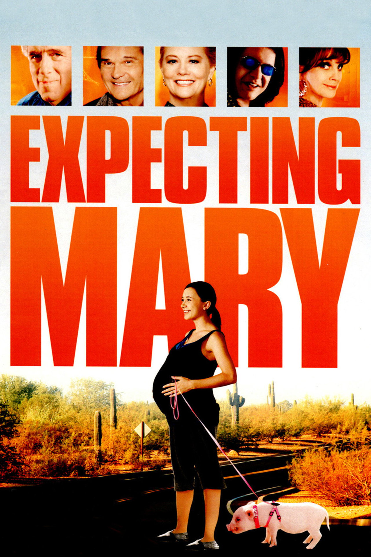 Expecting Mary. (2010)