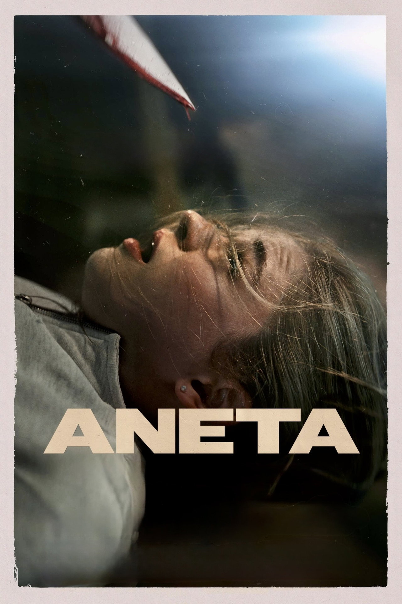 Aneta (2024) poster