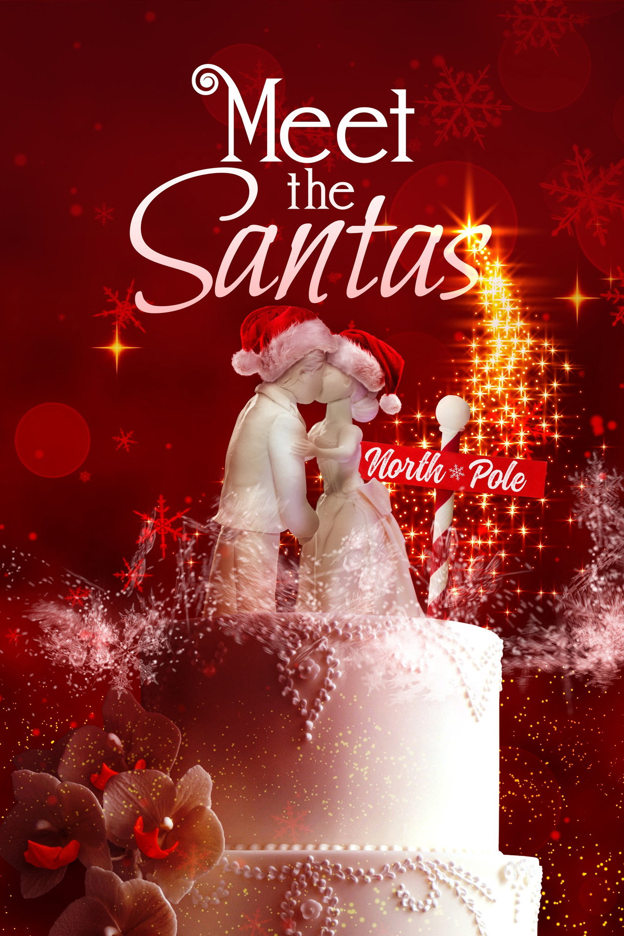 Meet the Santas (2005) poster