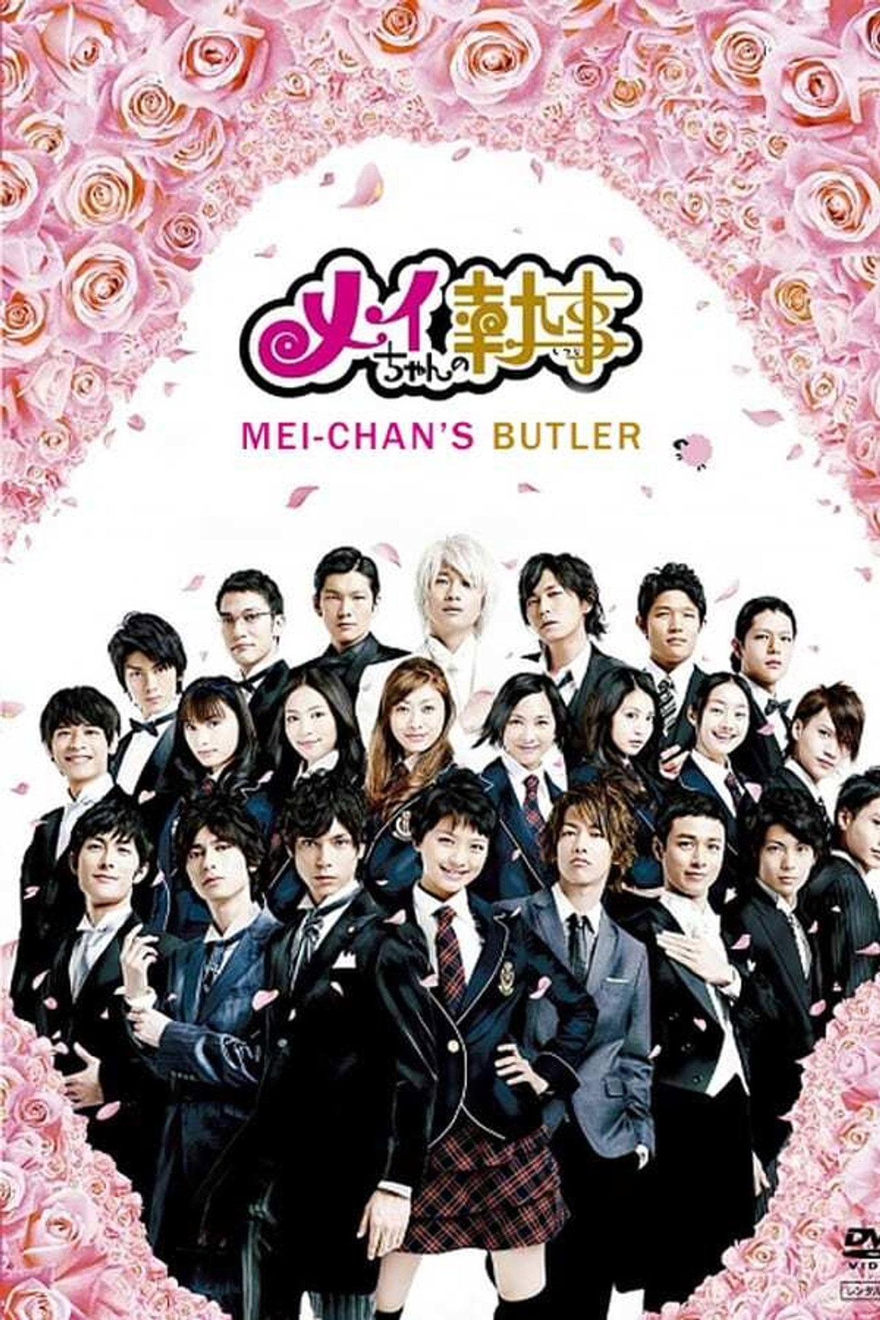 我的帅管家 (2009) poster