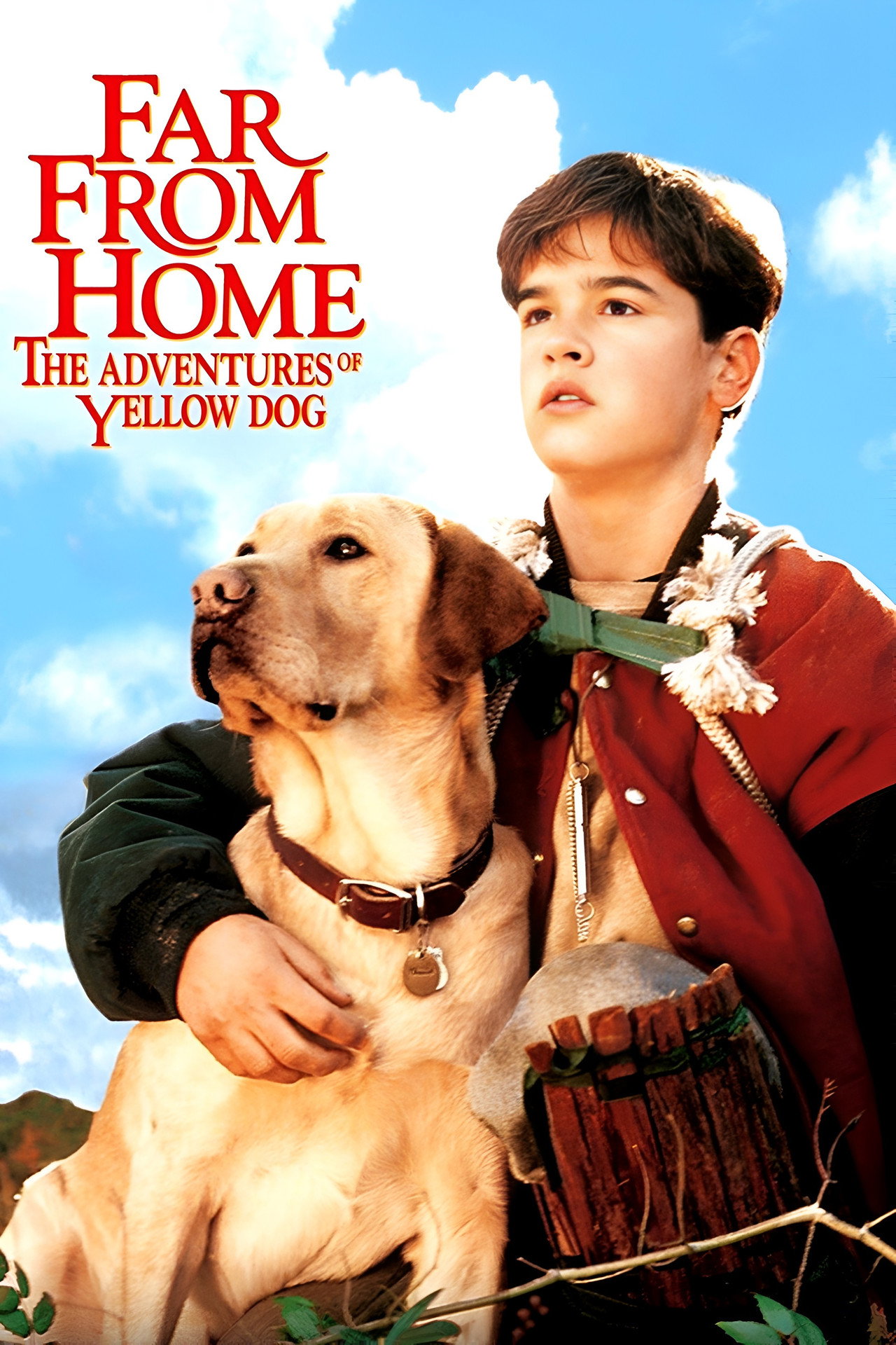 Loin de la maison (1995)