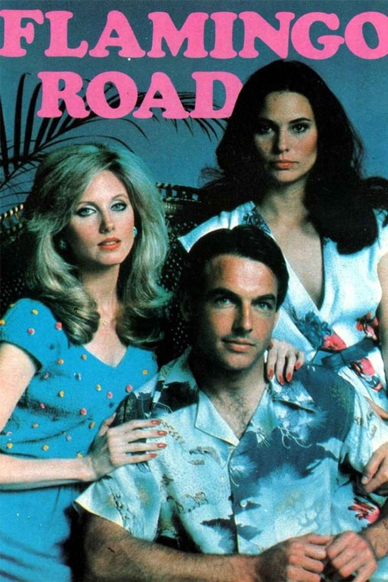 Flamingo Road - Saison 1