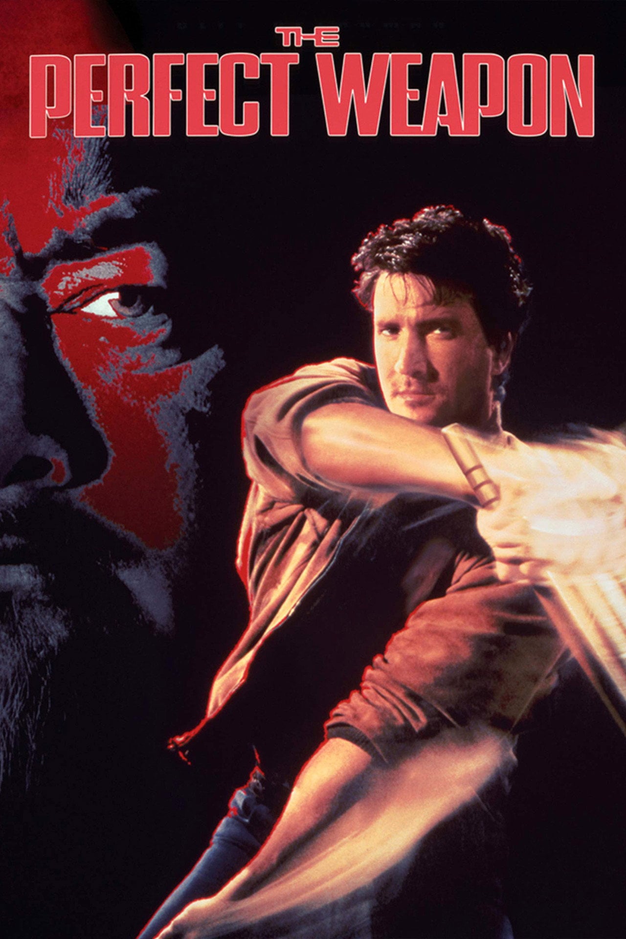 Arma perfetta (1991)