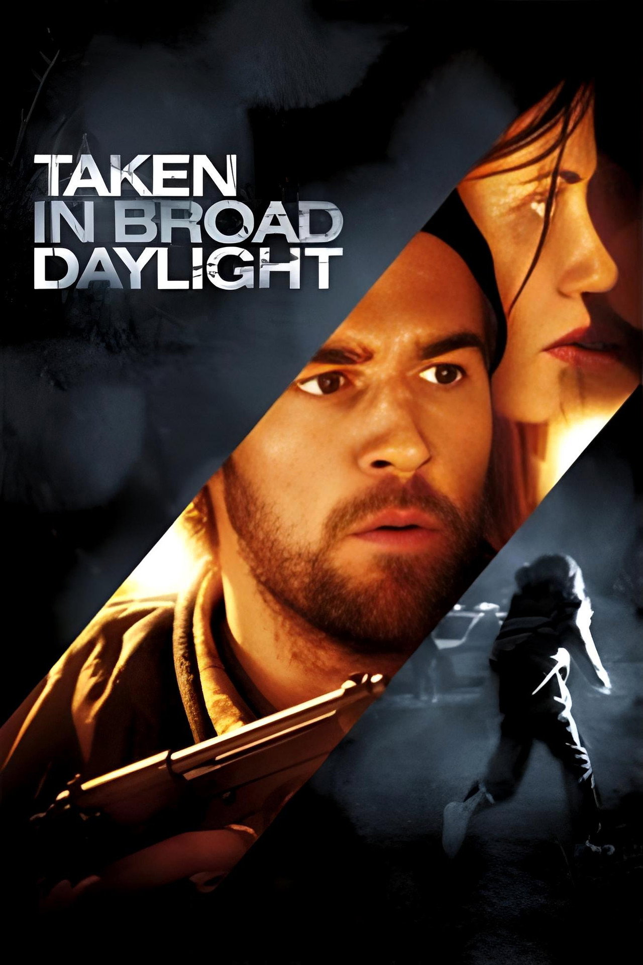 Taken in Broad Daylight (2009) poster
