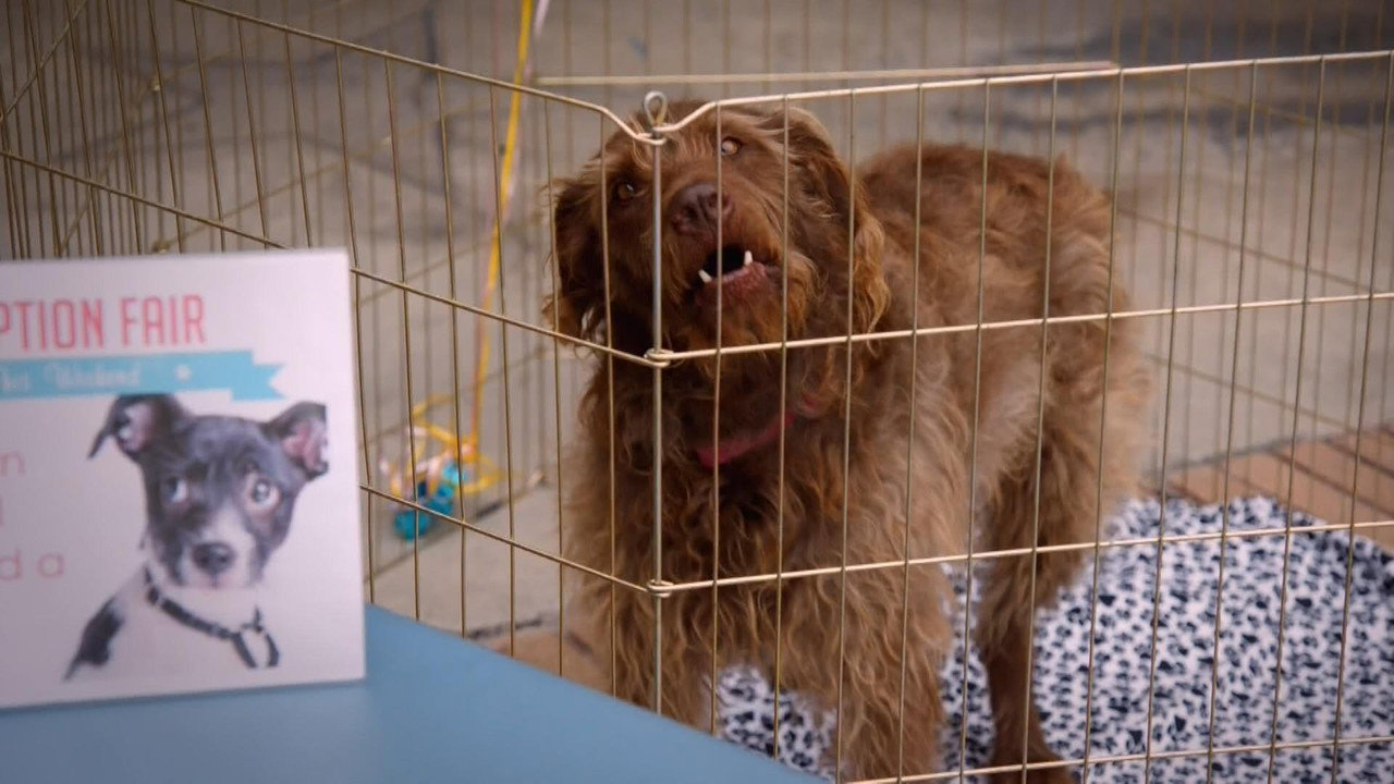 Adam Ruins Everything S01E17
