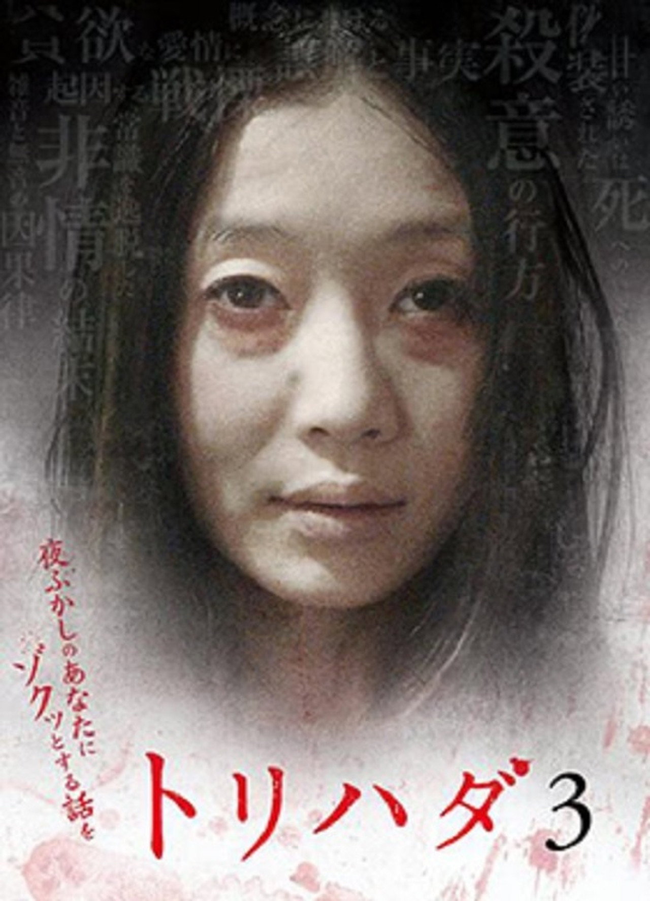 Torihada 3~ Yofukashi no anata ni zokutto suru hanashi wo (2008)