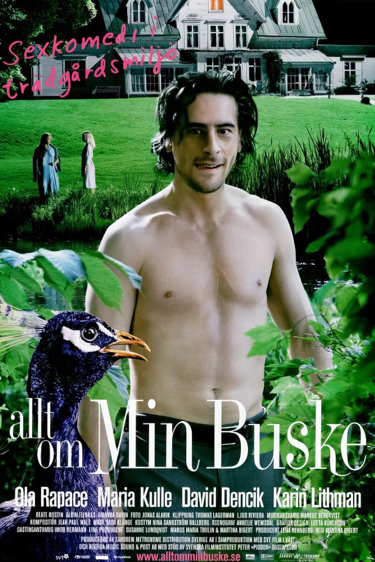 Allt Om Min Buske (2007)