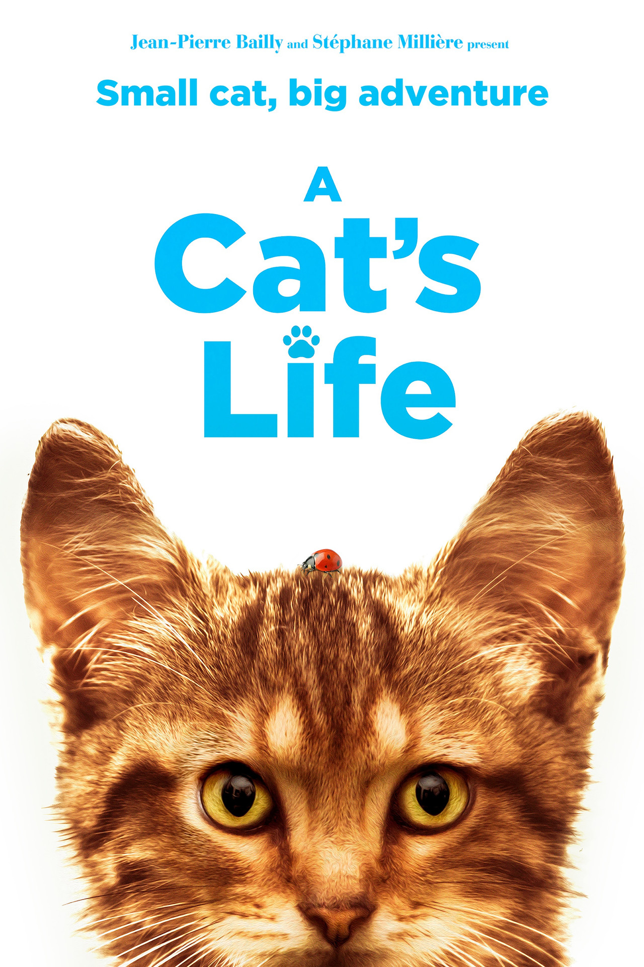 Мой котик и я (2023) poster